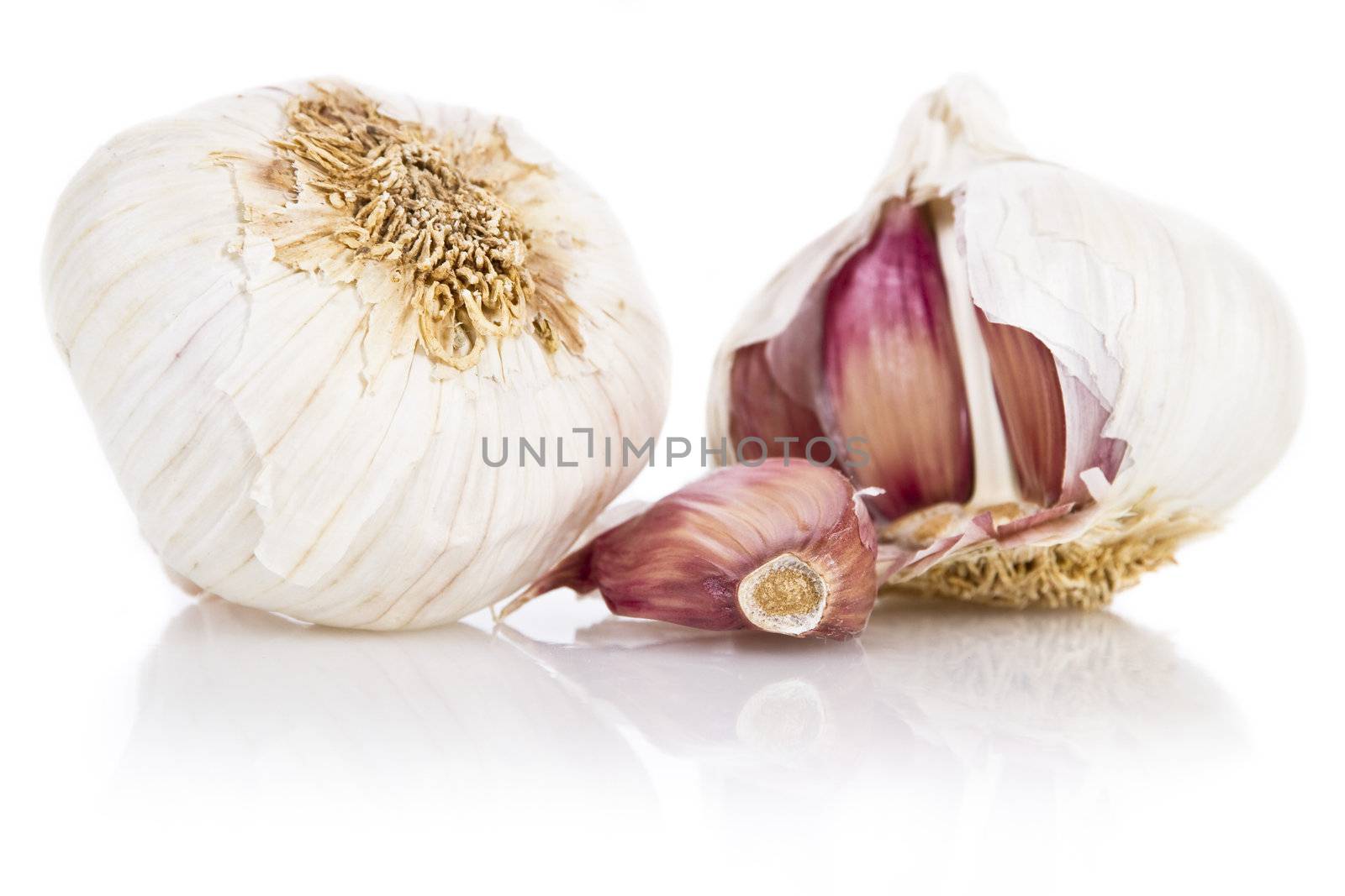Garlic by caldix