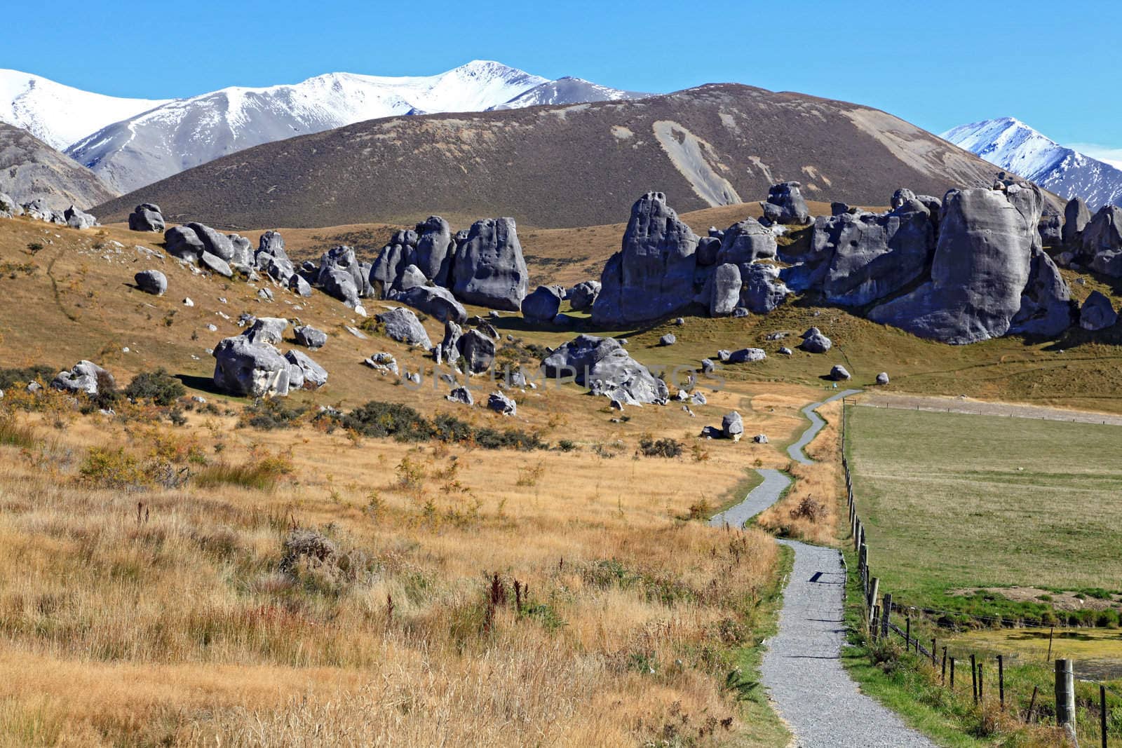 curve pathway to the mountain at Castle Hill New Zealand