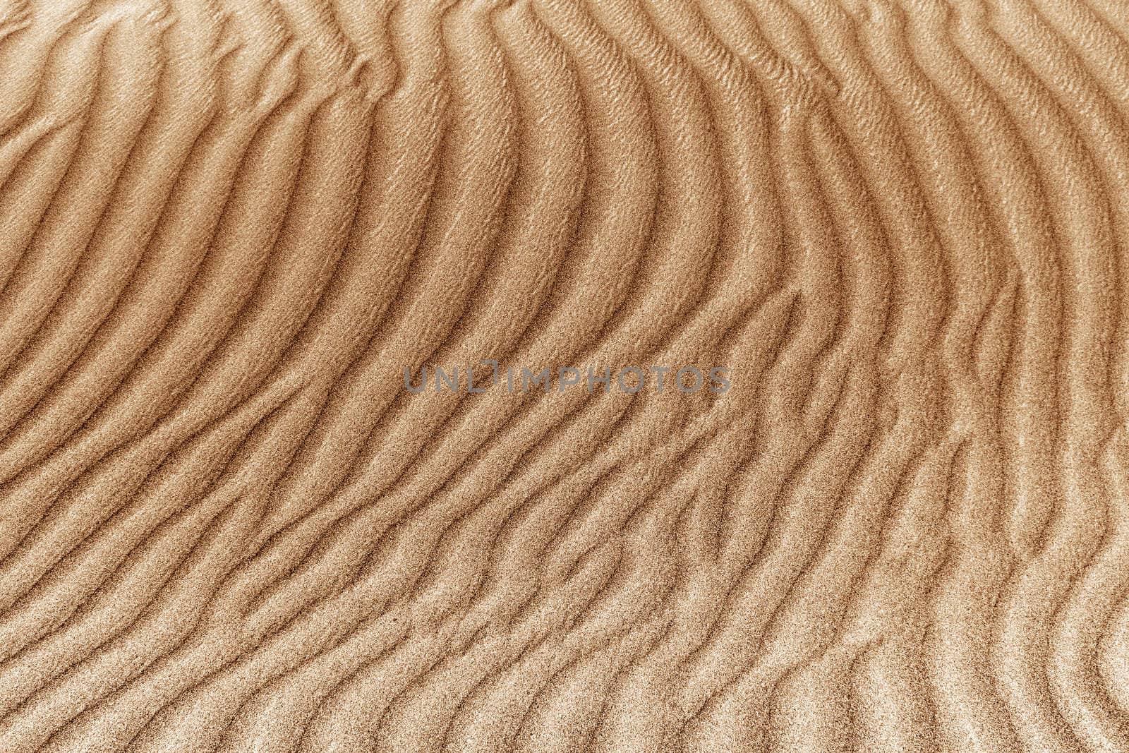 image of sand dunes  by Plus69