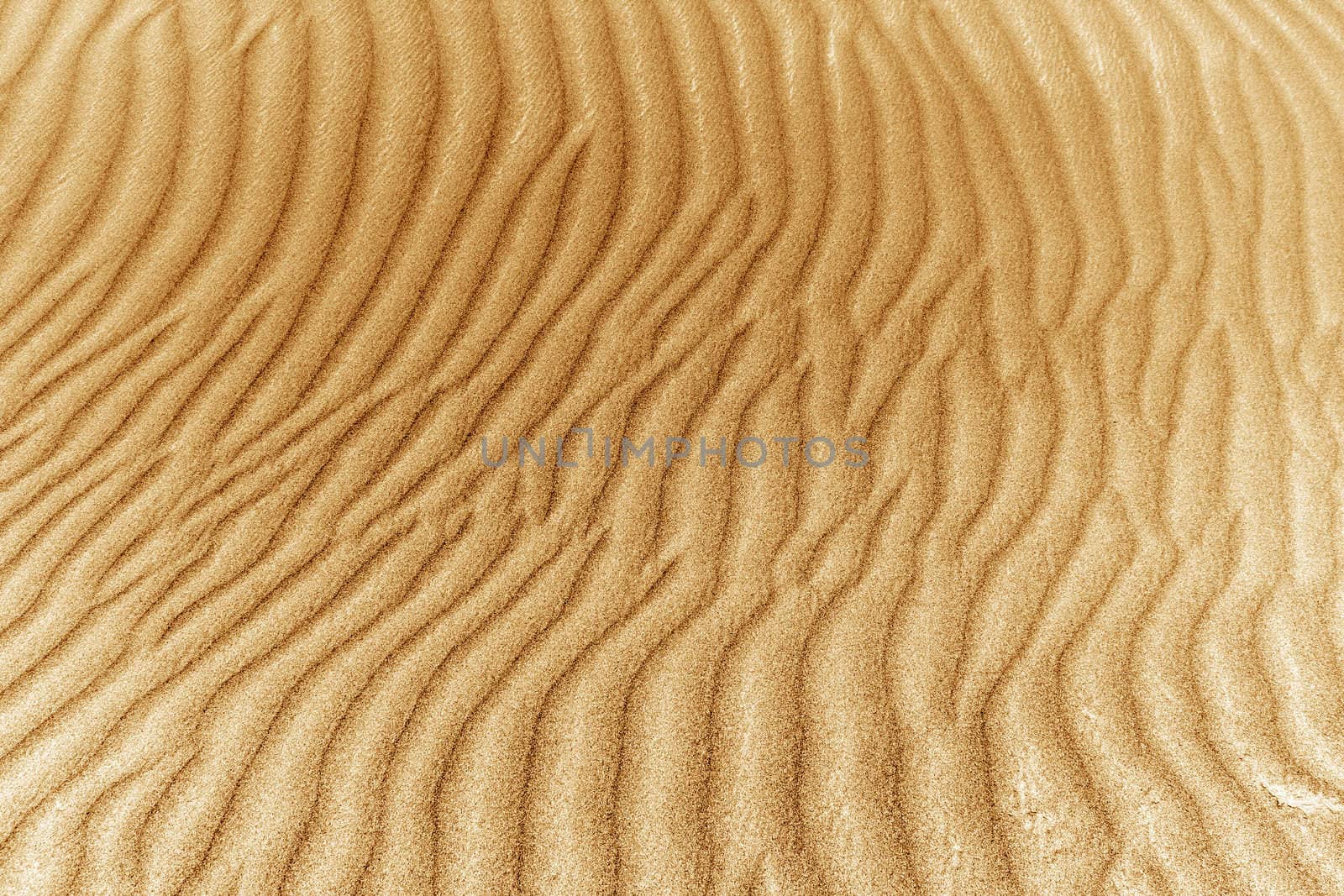 image of sand dunes  by Plus69