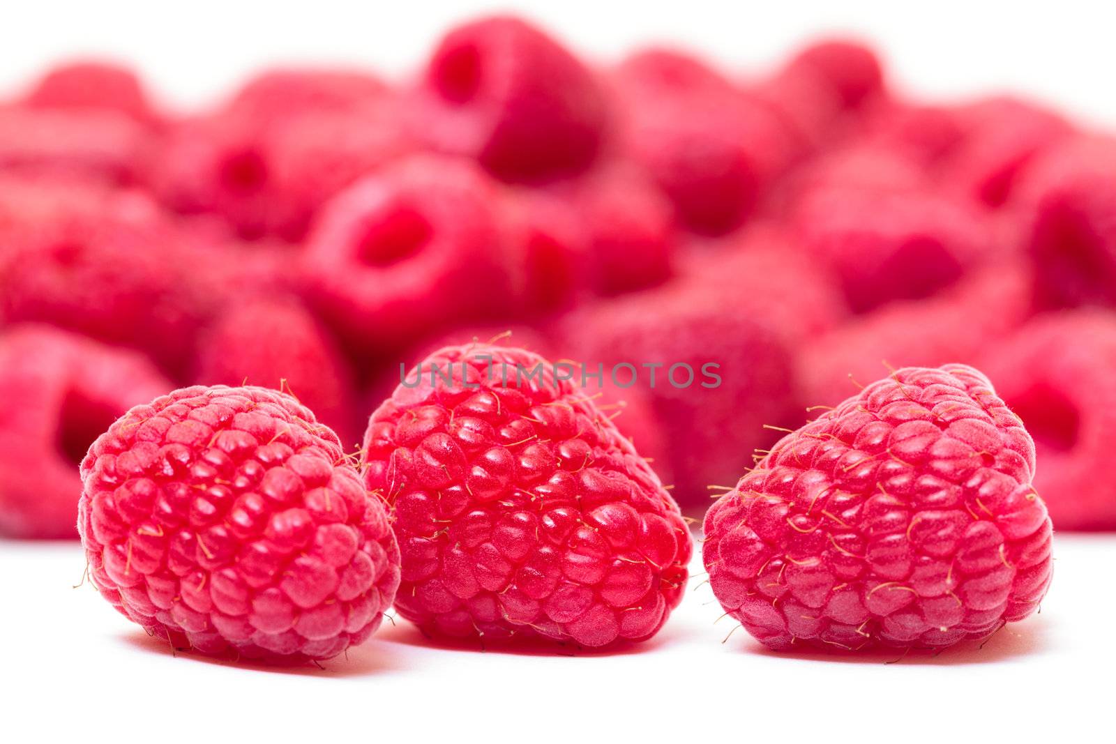 Ripe Berry Red Raspberry closeup on berries background