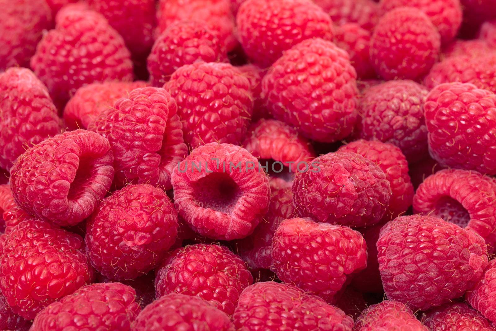 Ripe Berry Red Raspberry, closeup, backdrop
