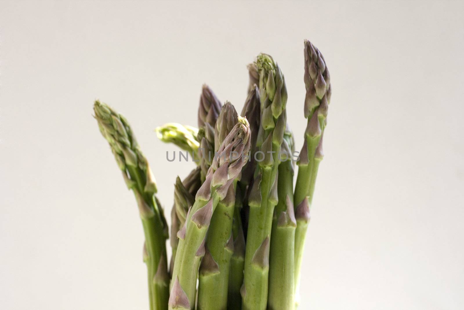 A bunch of fresh asparagus