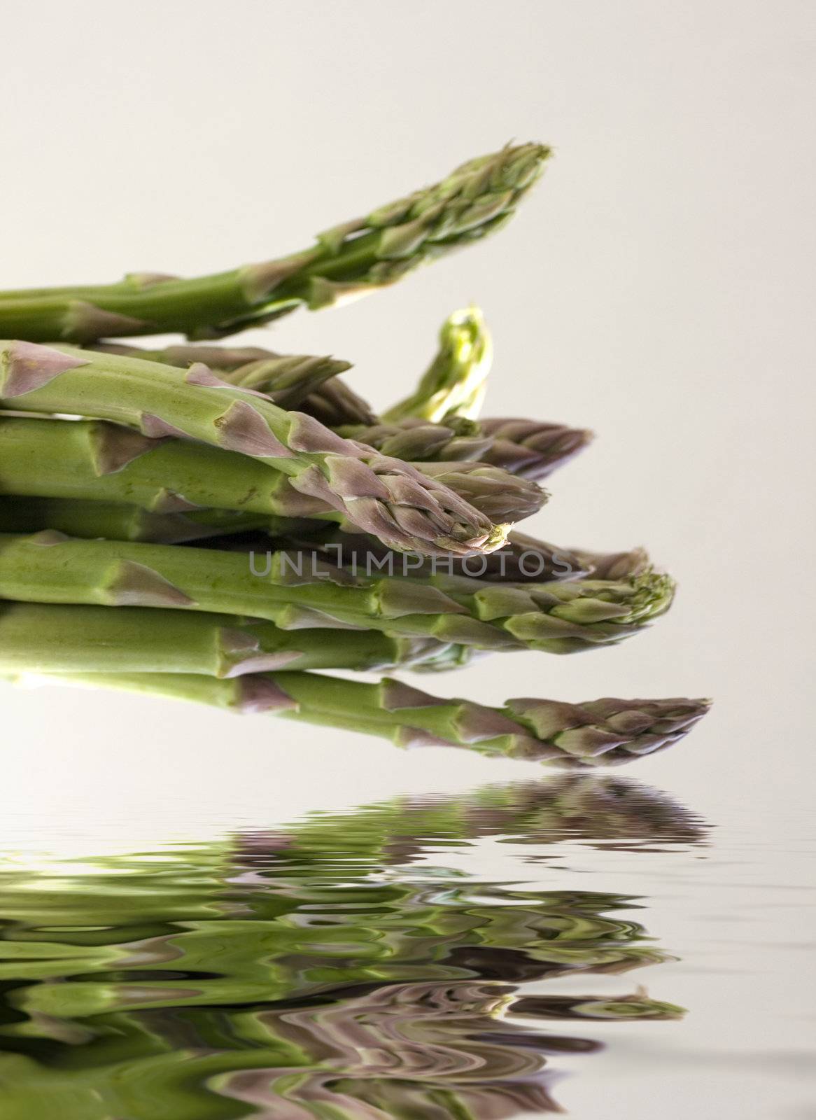 A bunch of asparagus reflected in water on a gray background