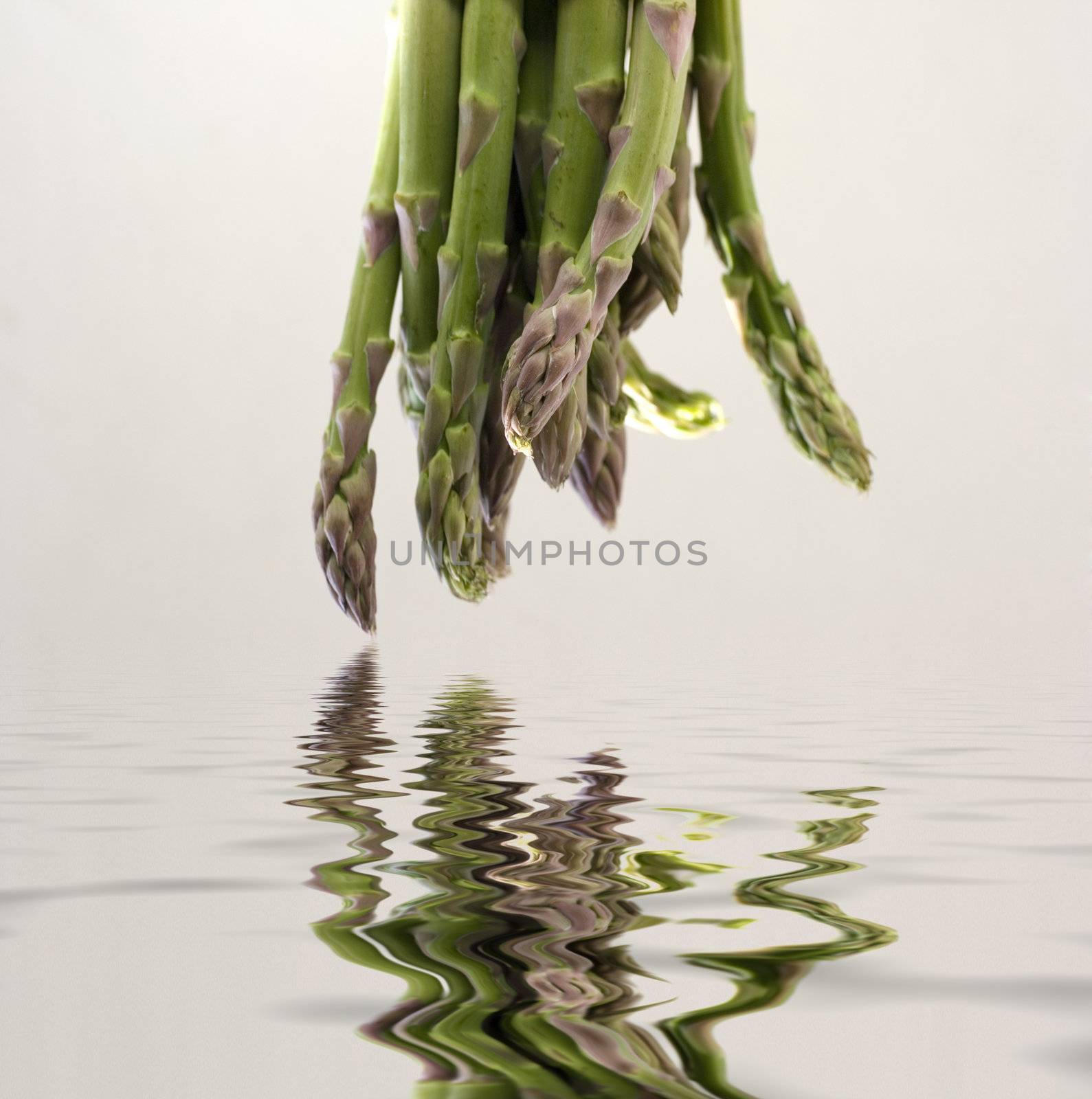 A bunch of asparagus reflected in water on a gray background