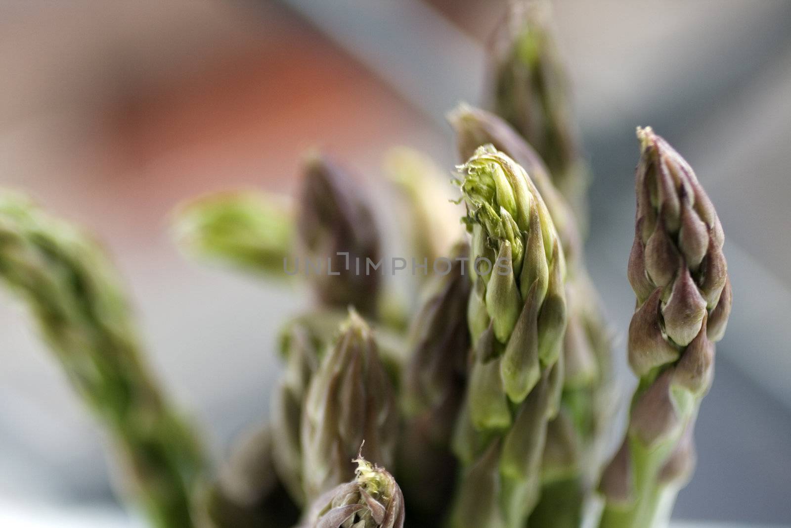 A bunch of fresh asparagus