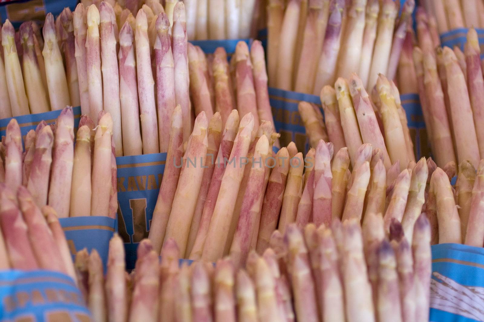 A bunch of fresh asparagus