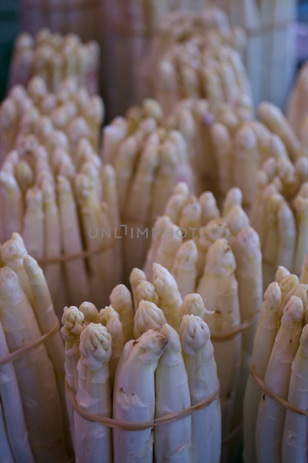 A bunch of fresh asparagus