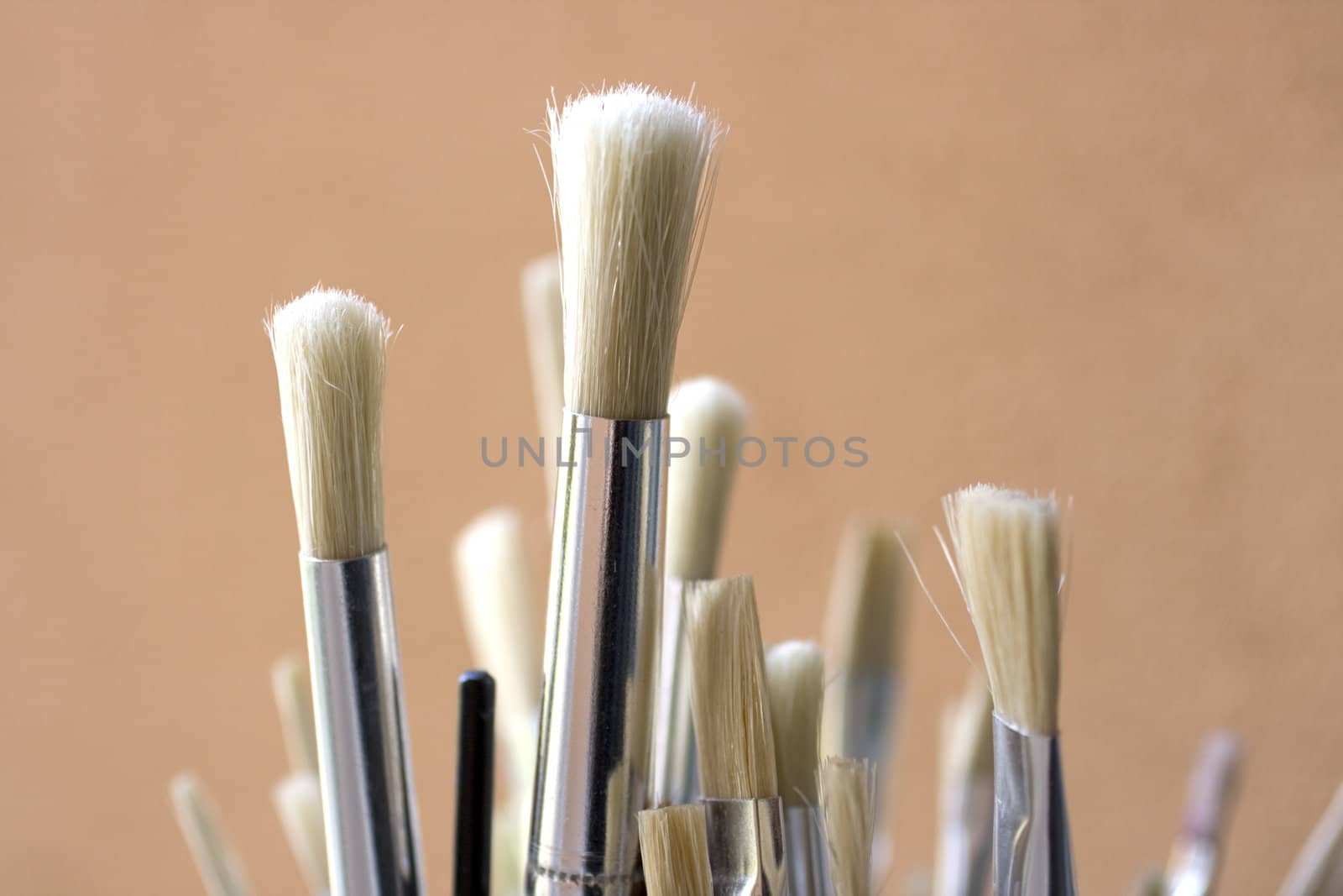 A set of new bristle paintbrushes