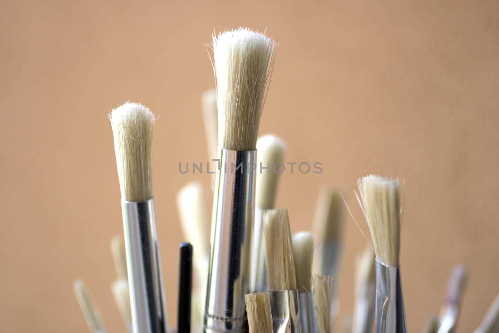 A set of new bristle paintbrushes