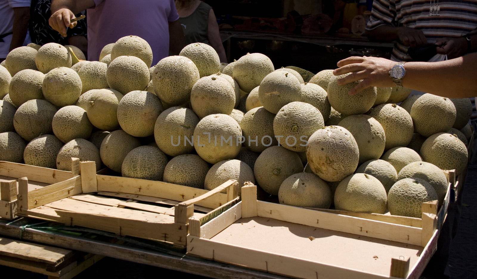 Fresh Cantaloupe melons on a fruit crate