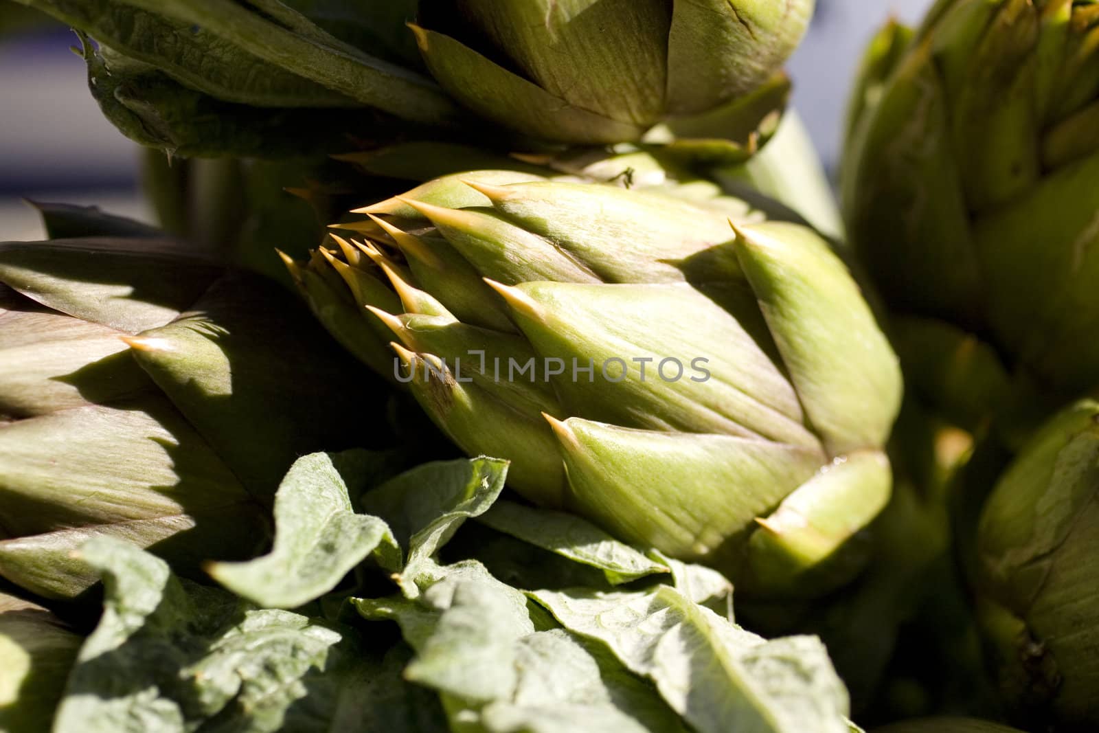 Fresh green artichokes on display at the farmer's market