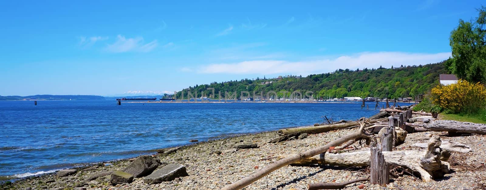 Tacoma Browns Point marina view and Mr.Rainier.