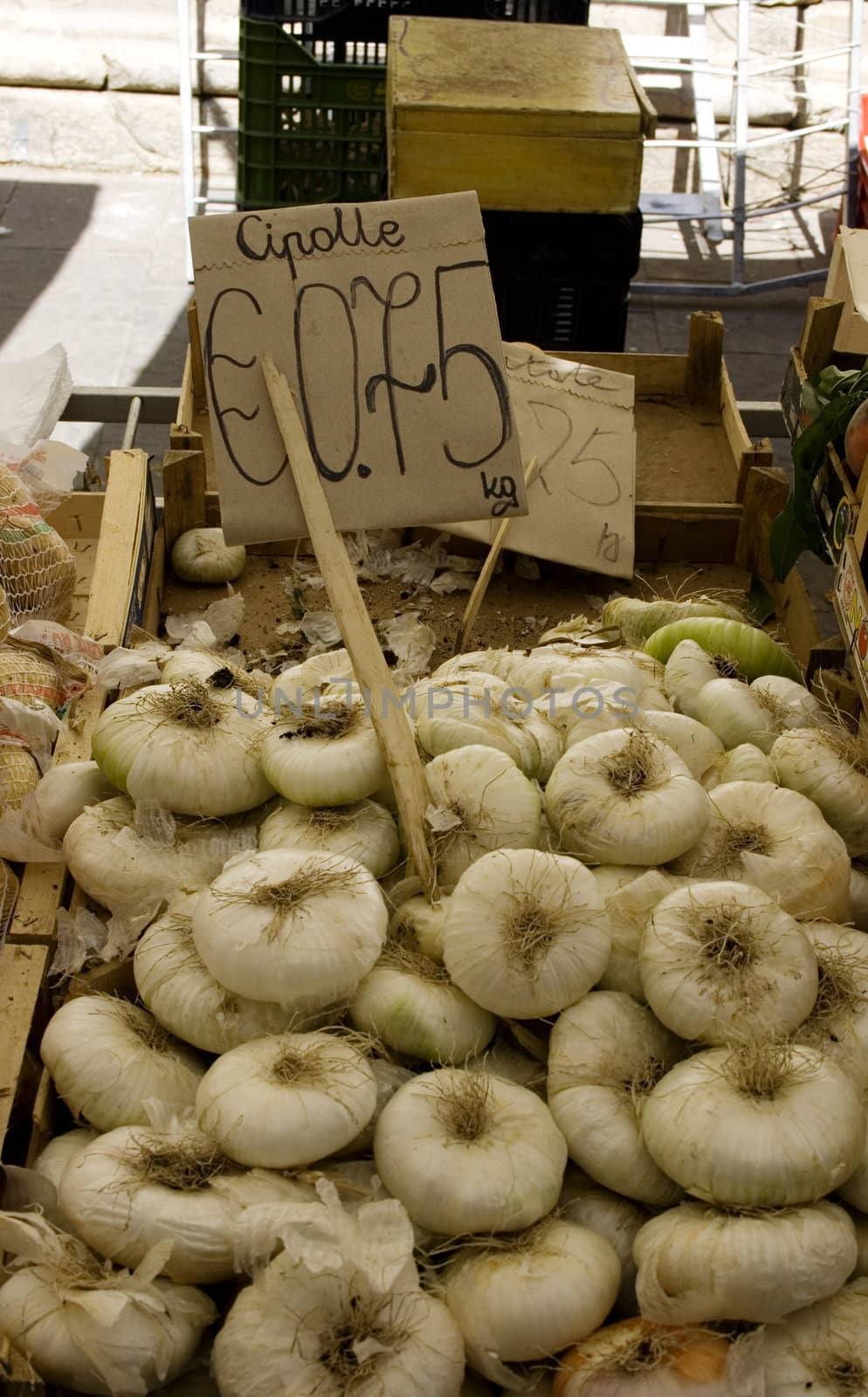 Photo of white Onions background