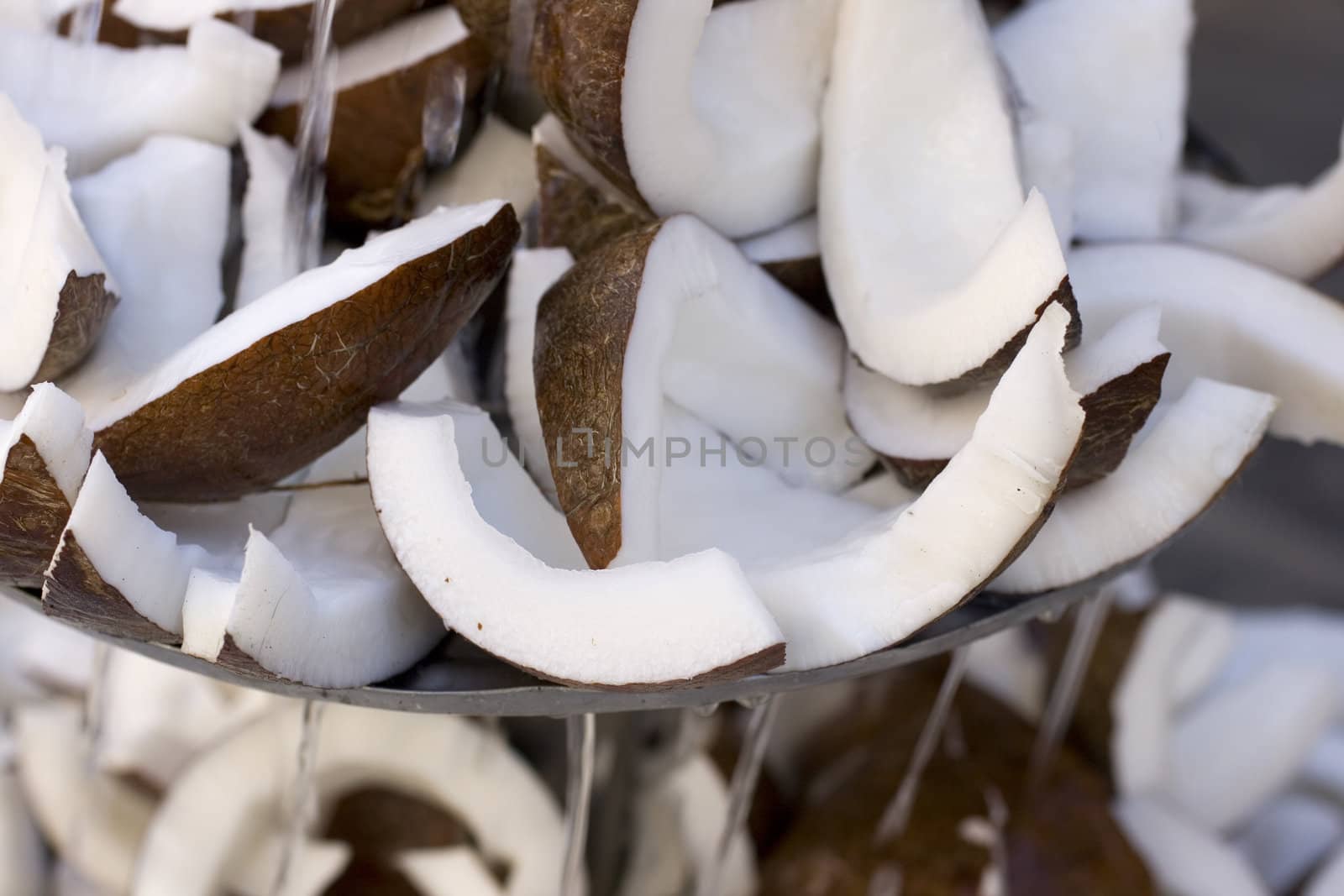 Sliced coconut inside a fountain