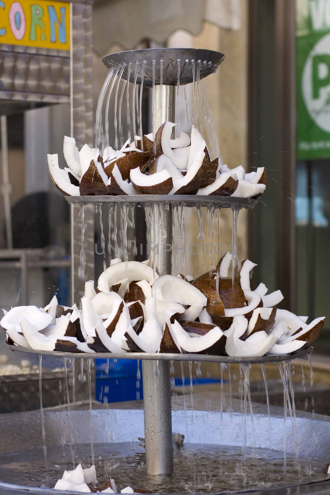 Sliced coconut inside a fountain