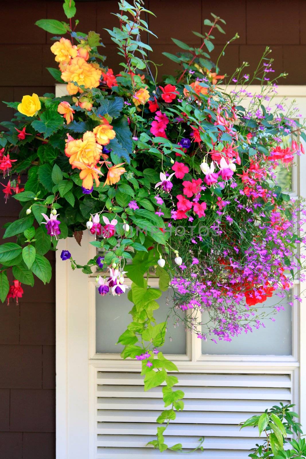 baskets with flowers outside of house windows.