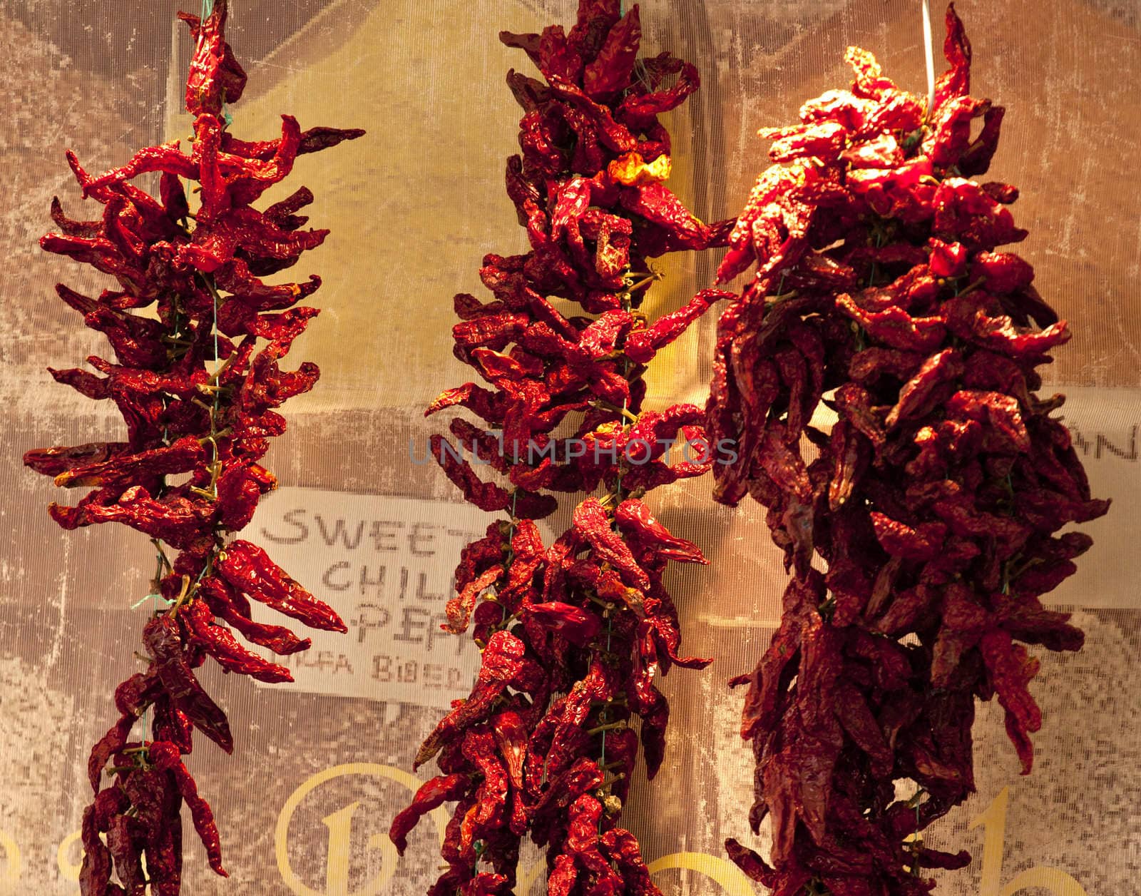 Photo of Dried red hot chili peppers