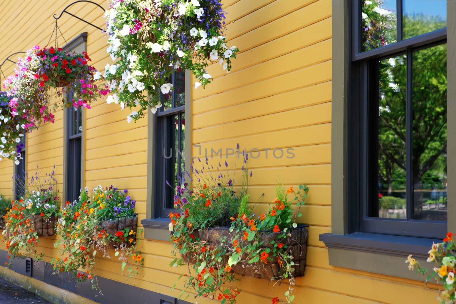 Flowers in hanging basket with yellow historical building. Northwest Railway Museum