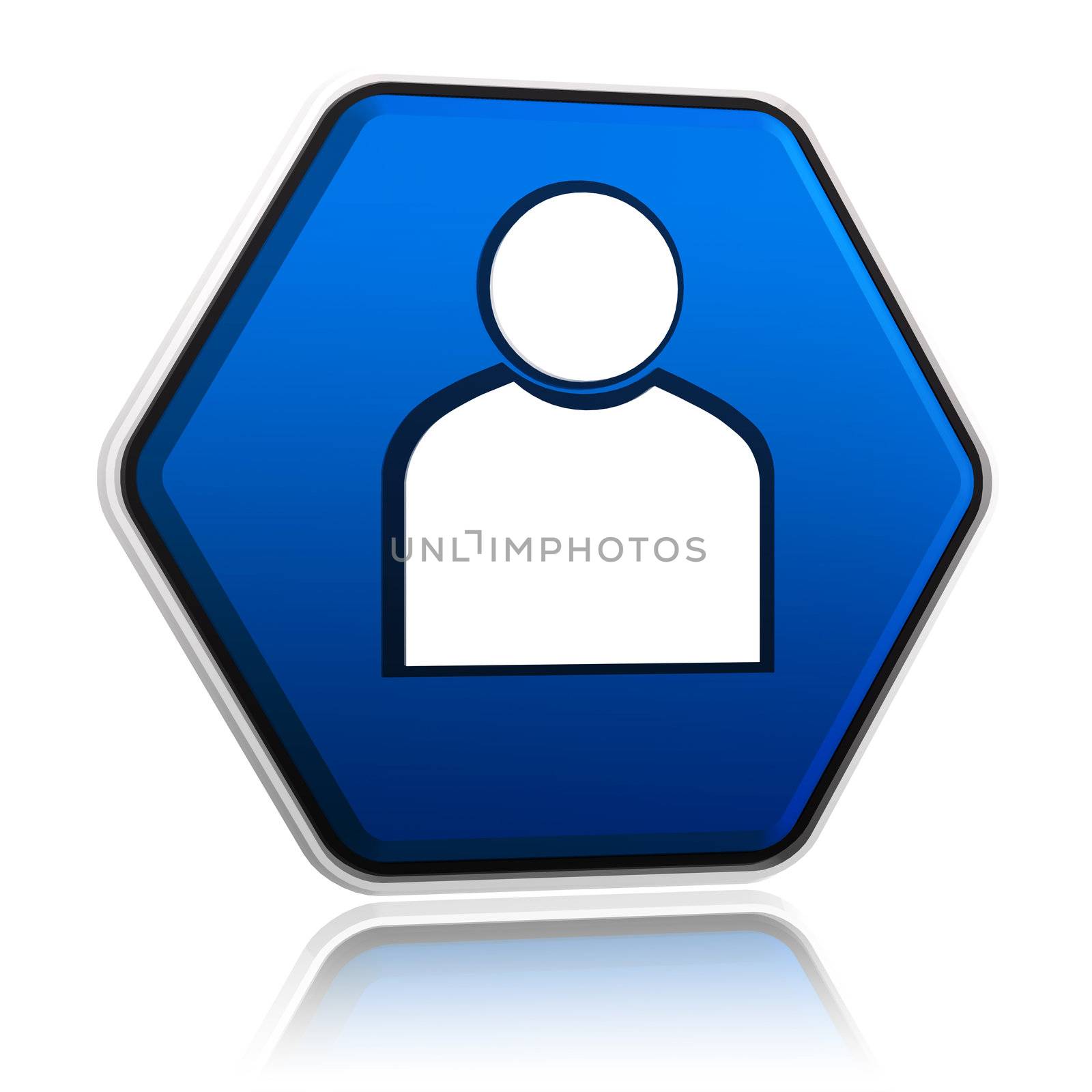 person sign on button, 3d blue hexagon banner like icon