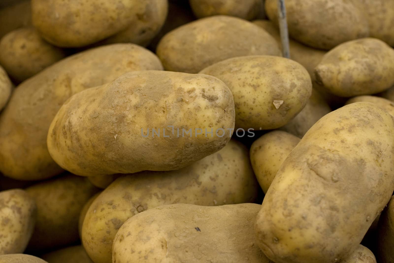 Photo of biological fresh potatoes