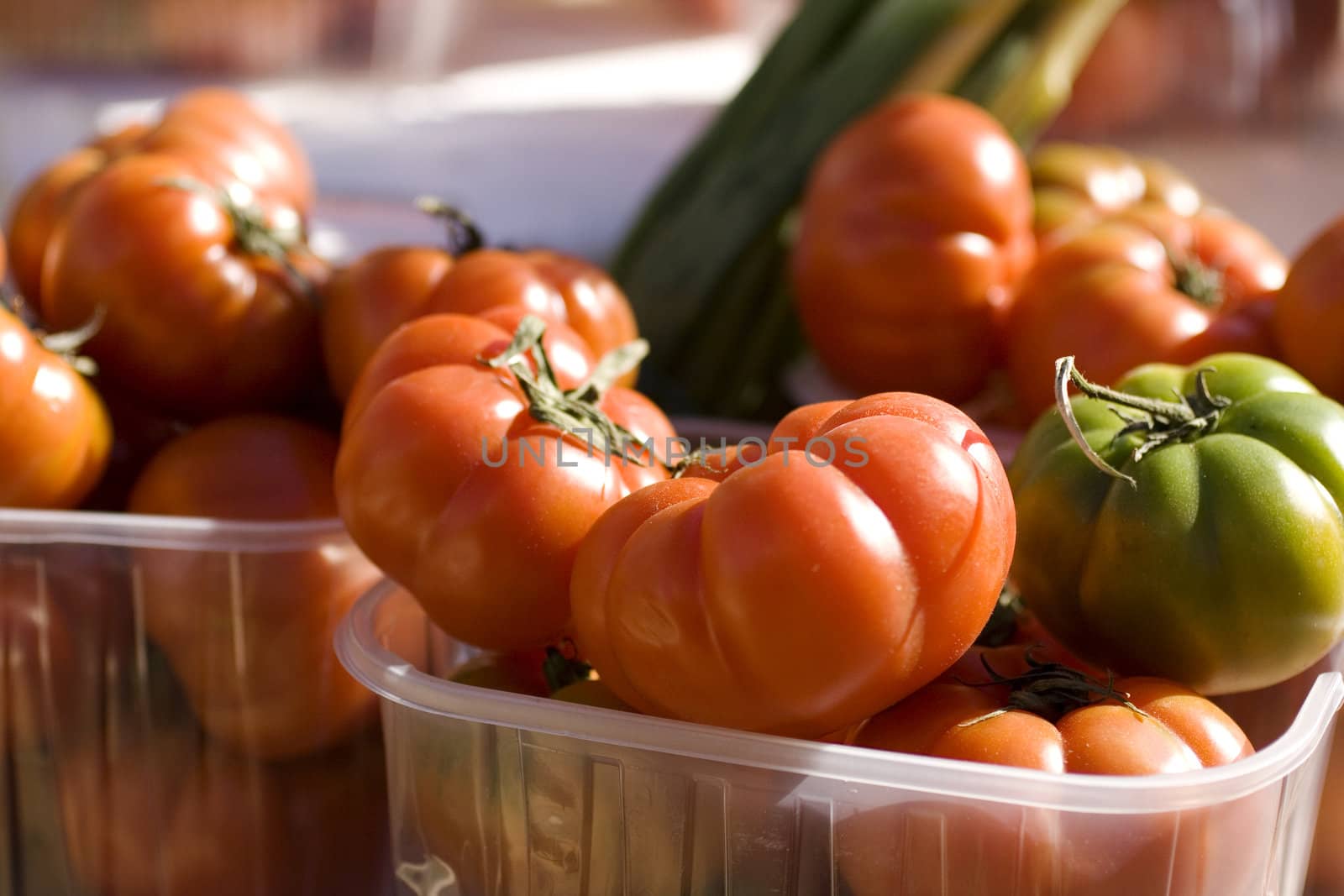 A lot of fresh tomatoes