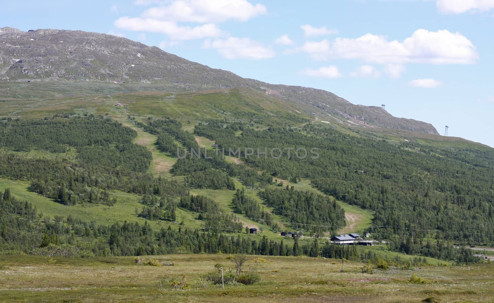 Summertime Skiing Slope by Alvinge