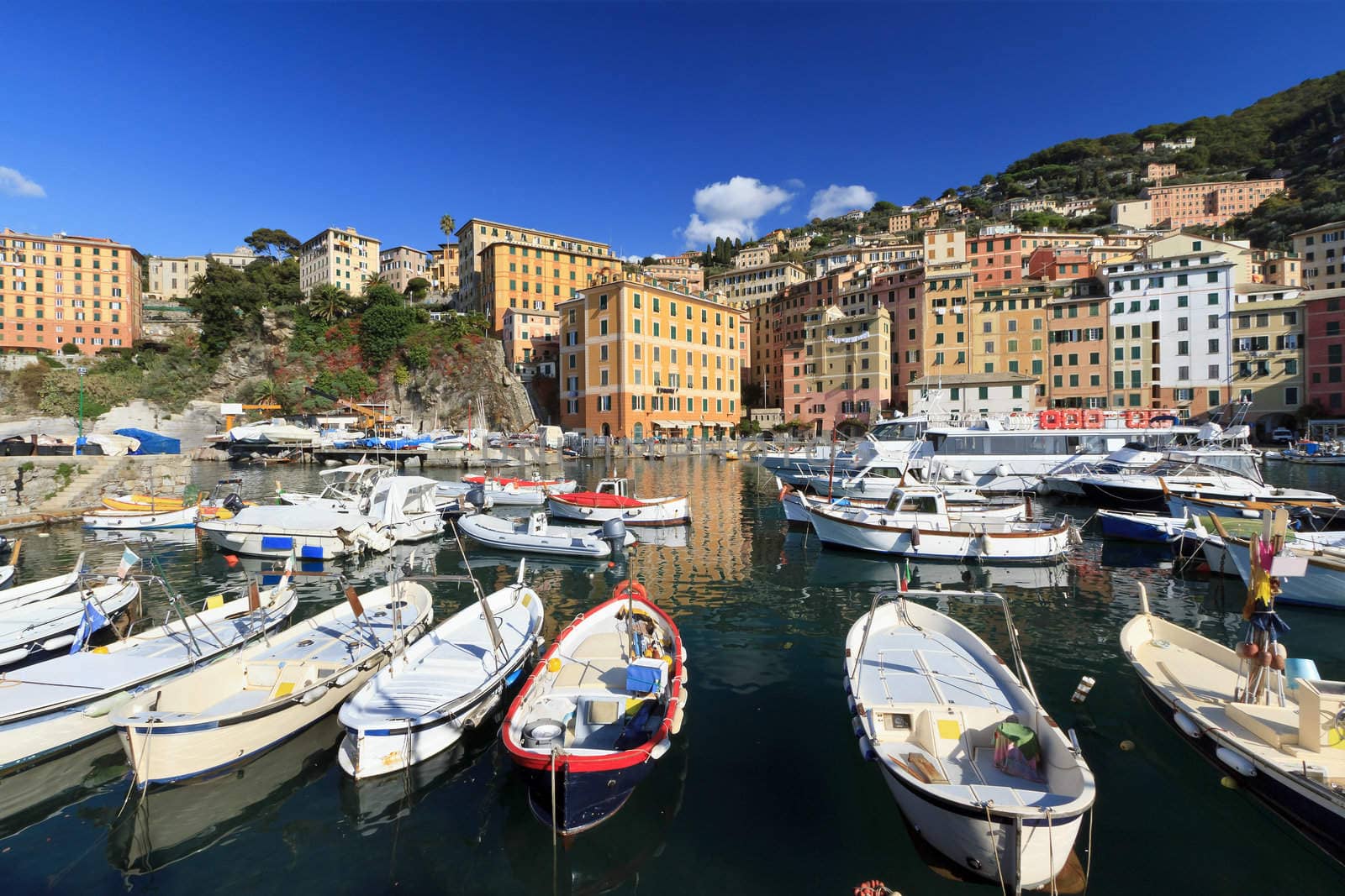 small harbor in Camogli, ancient little town in Liguria, Italy