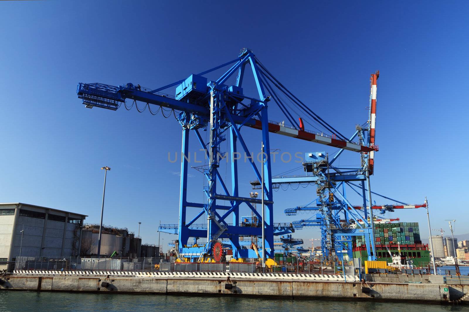 heavy crane in Genoa port is loading a ship, Italy