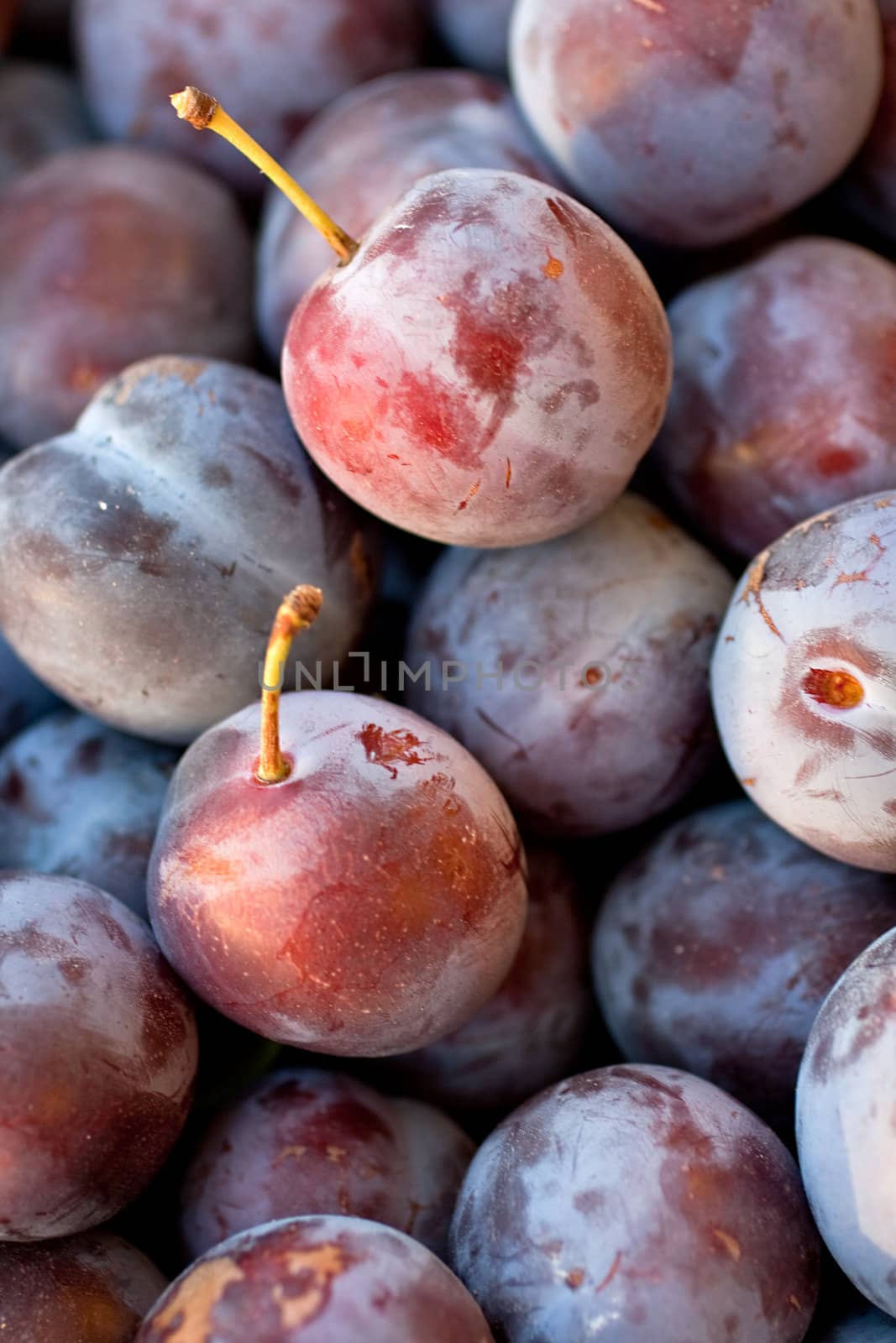 Photo of biological purple plums