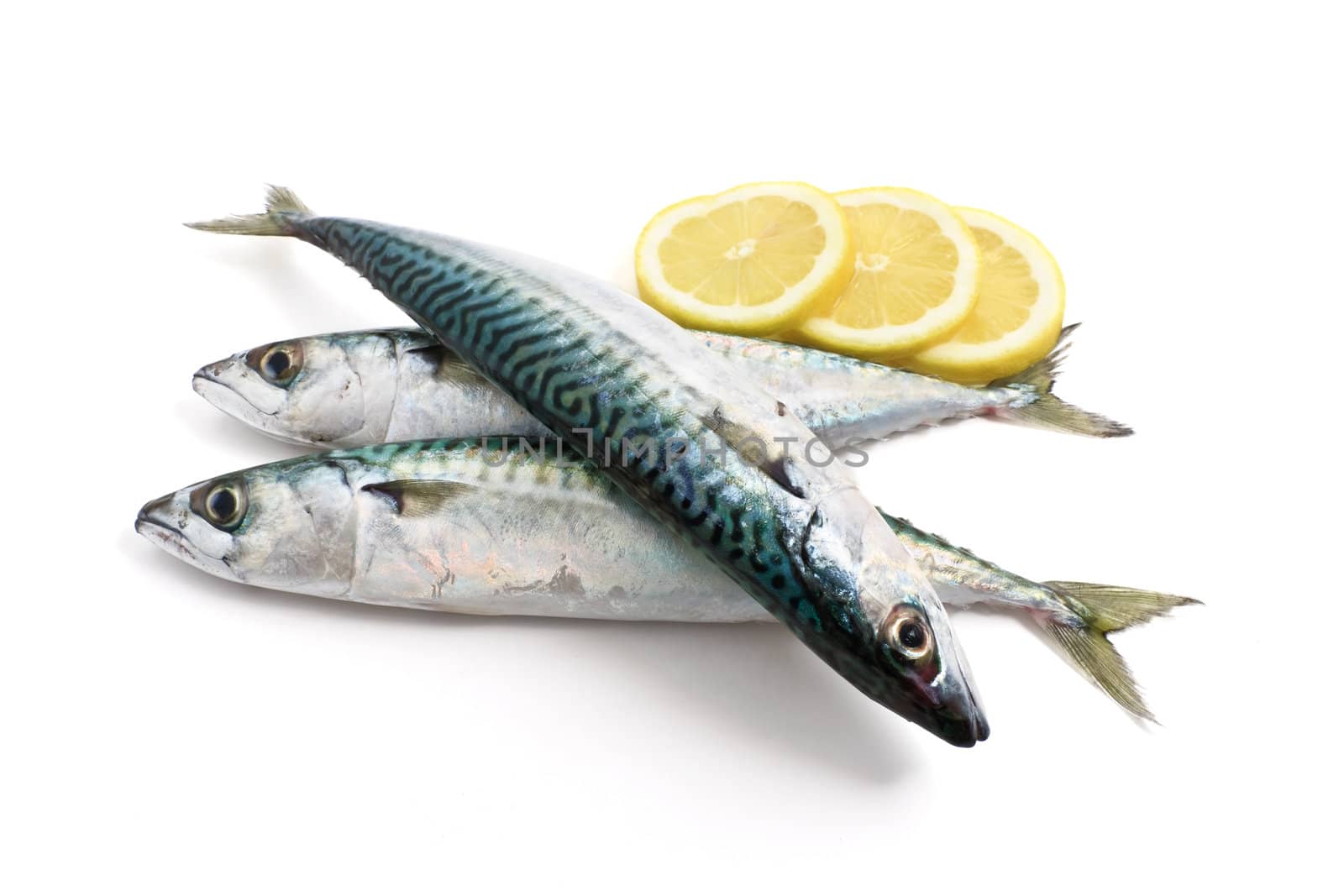 three fresh mackerel fish with sliced lemon over white background