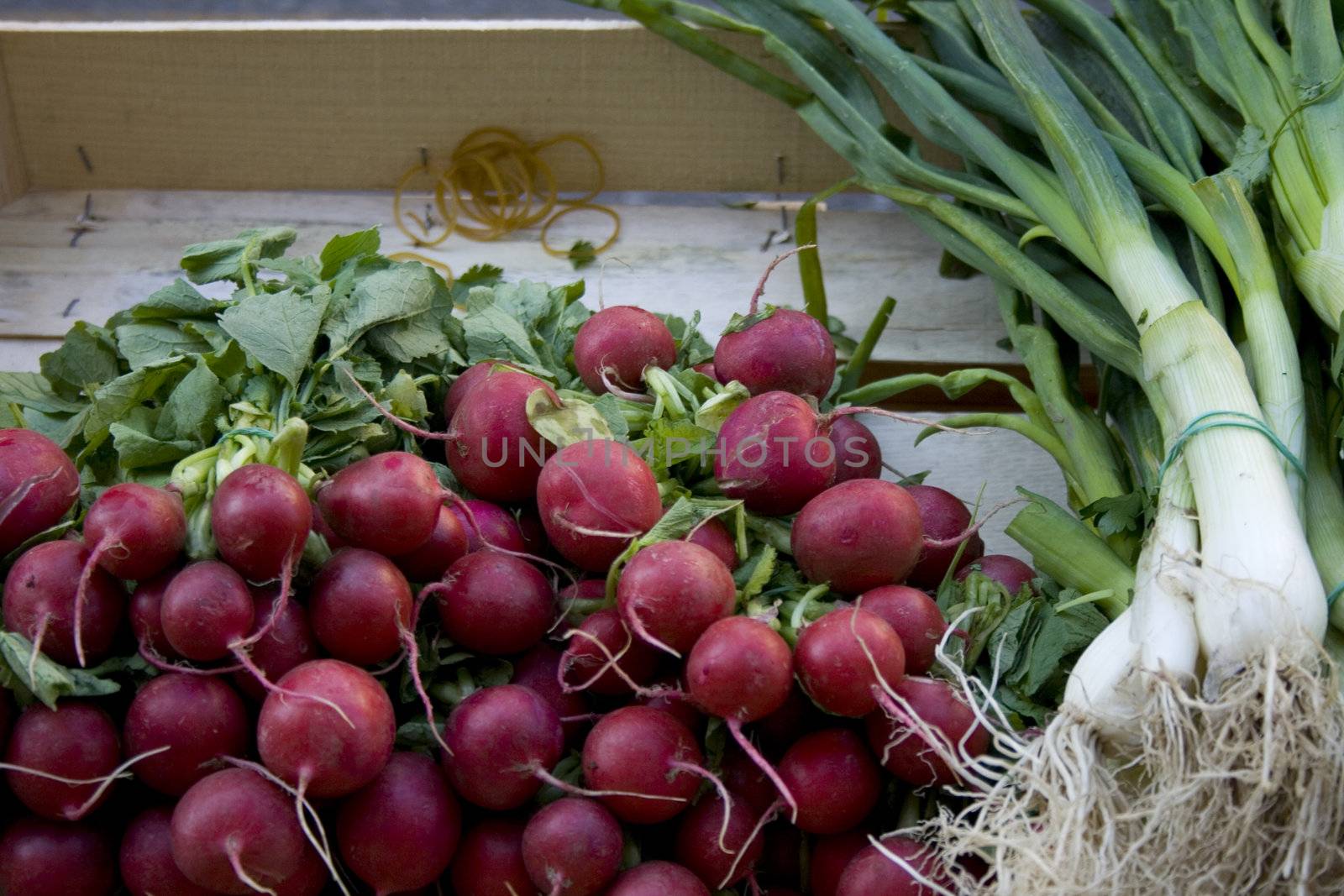 Photo of Red radish and leeks