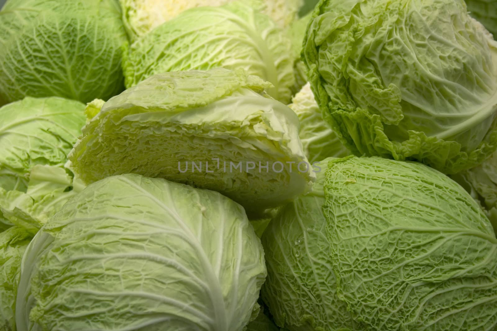 A lot of fresh Cabbages