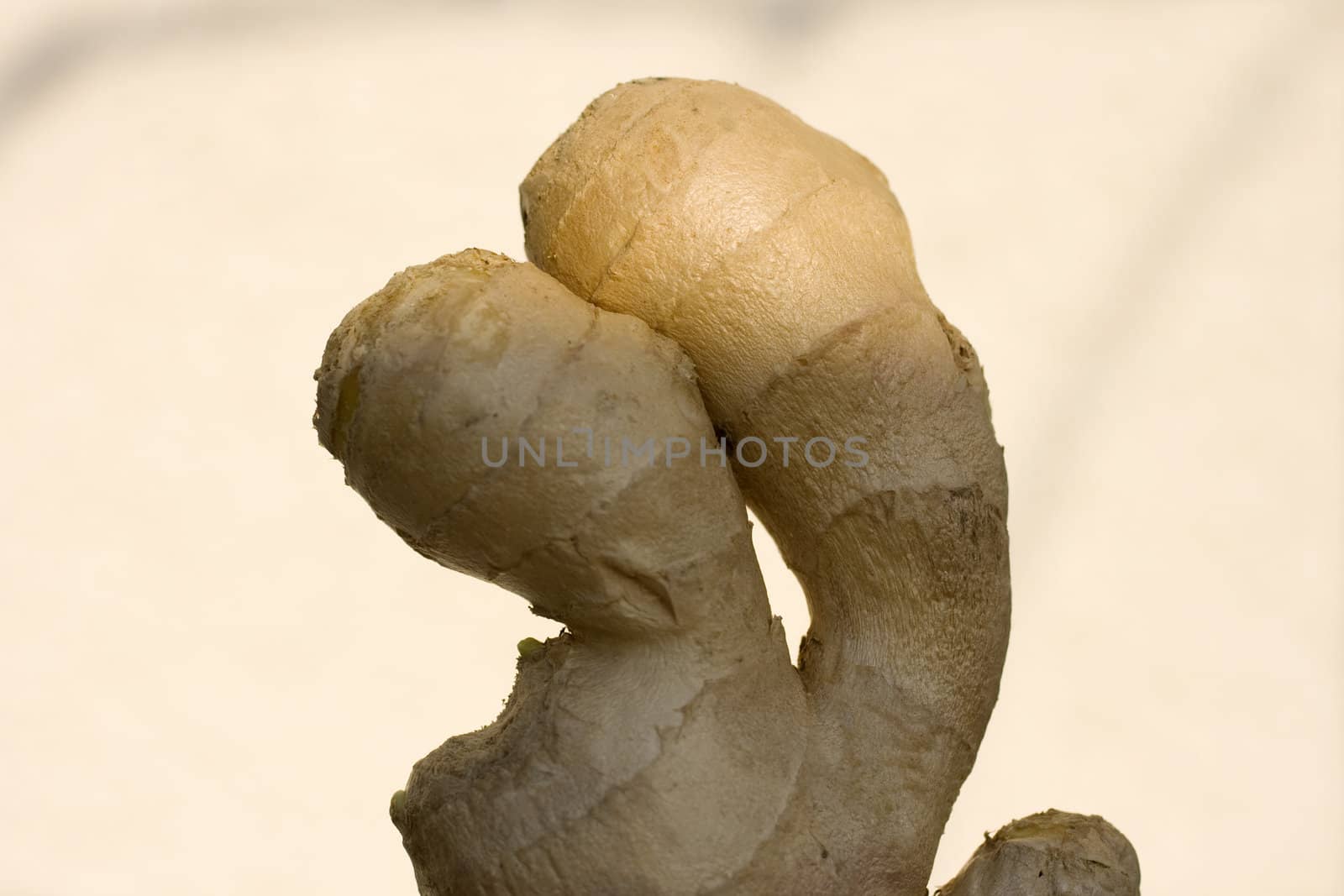 Photo of delicious Fresh ginger