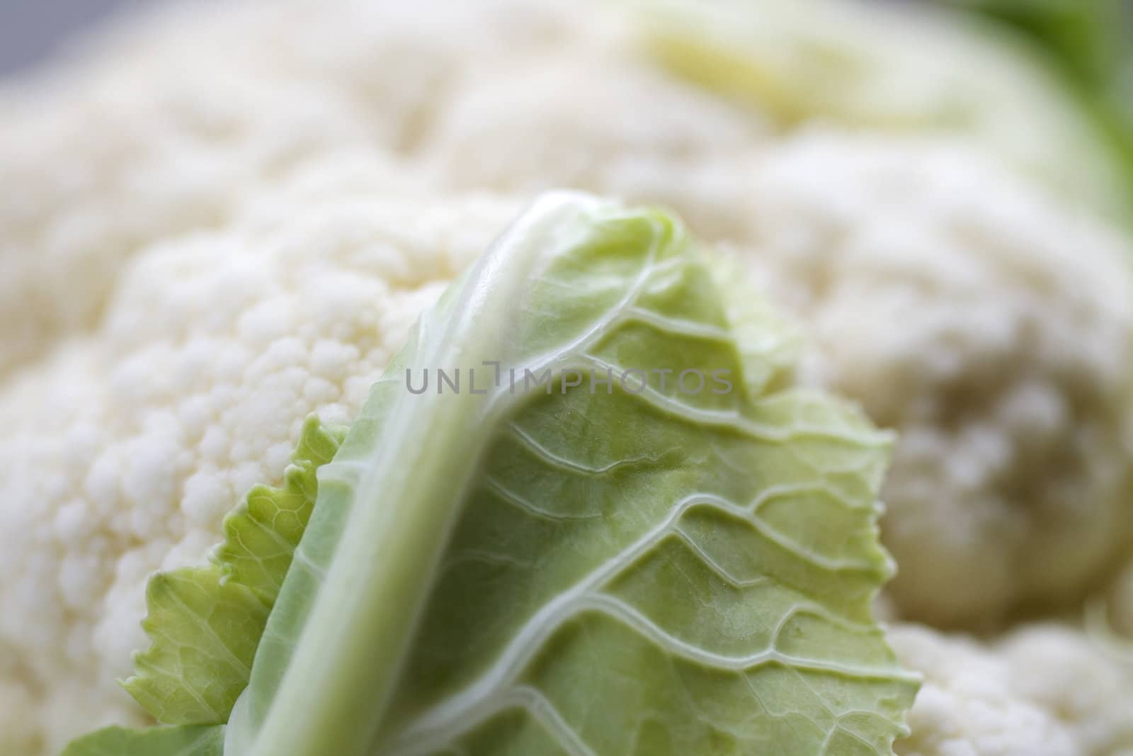 Close up of fresh Cauliflower