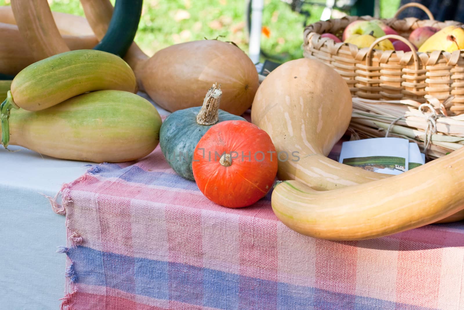 Various different pumpkins on a street market