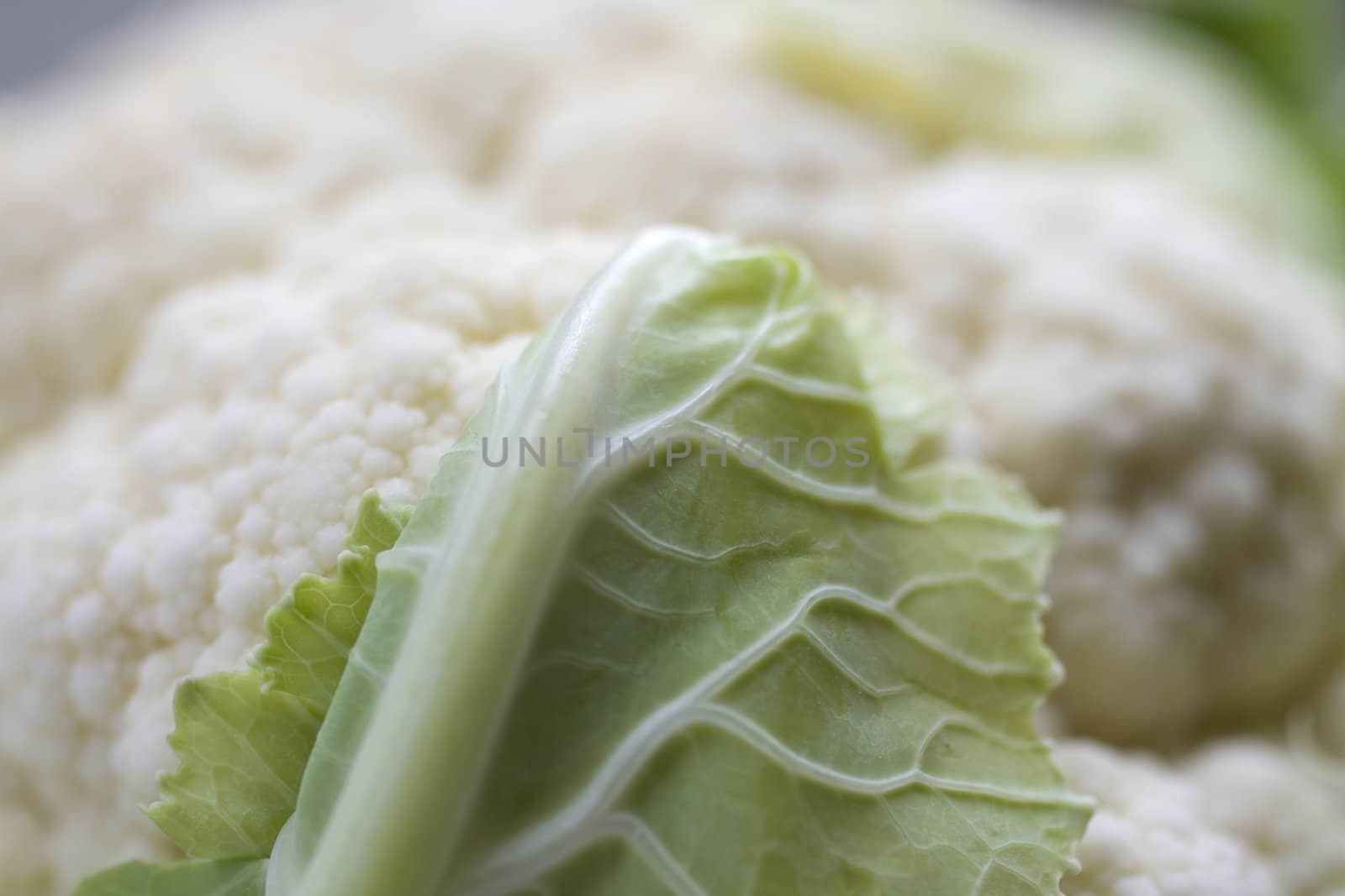 Close up of fresh Cauliflower