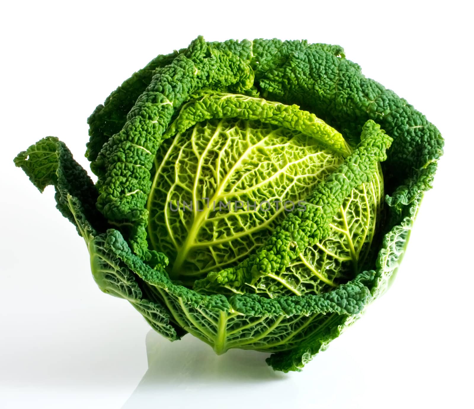 Savoy cabbage isolated on a white background