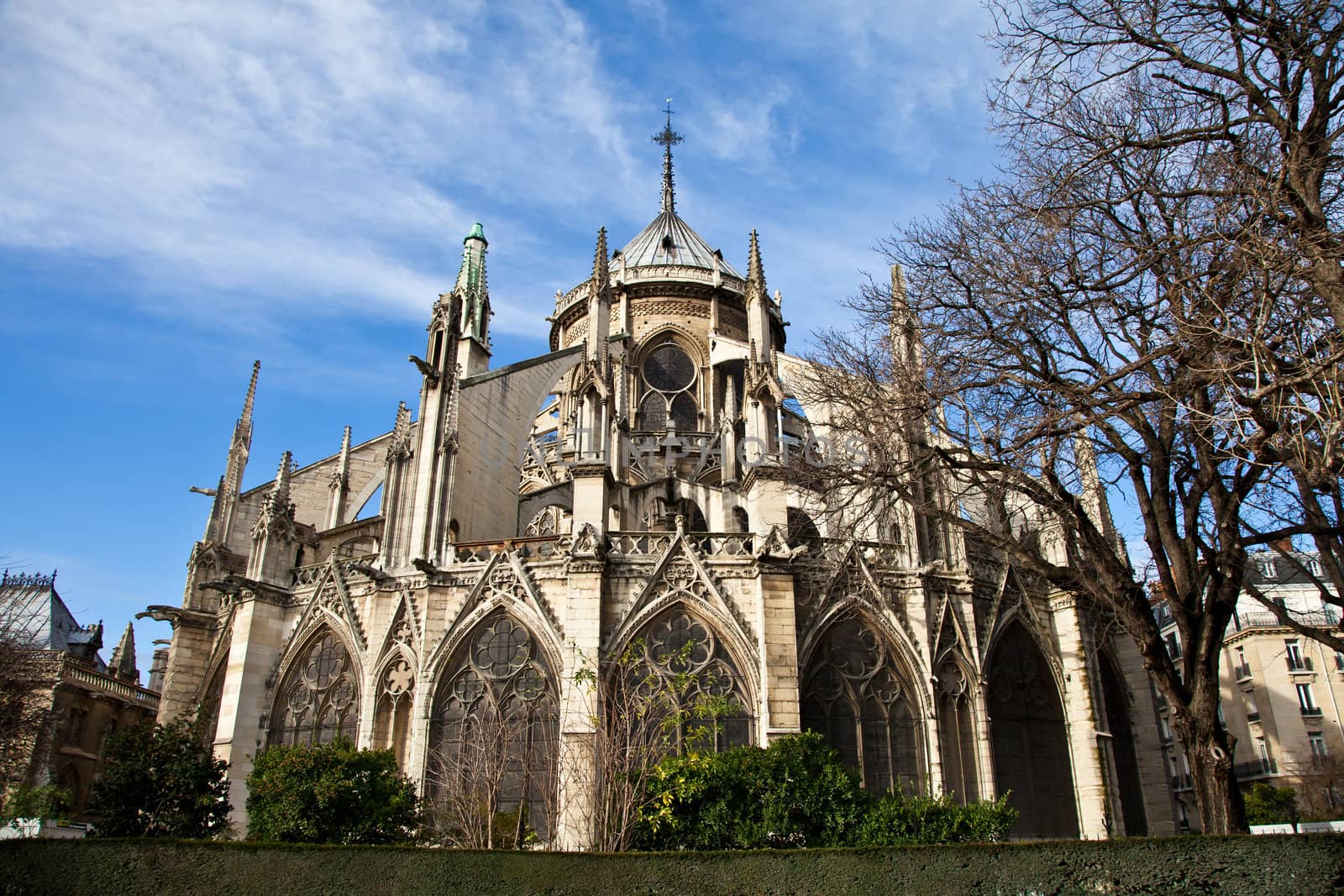 Detail of gothic Cathedral of Notre Dame in Paris