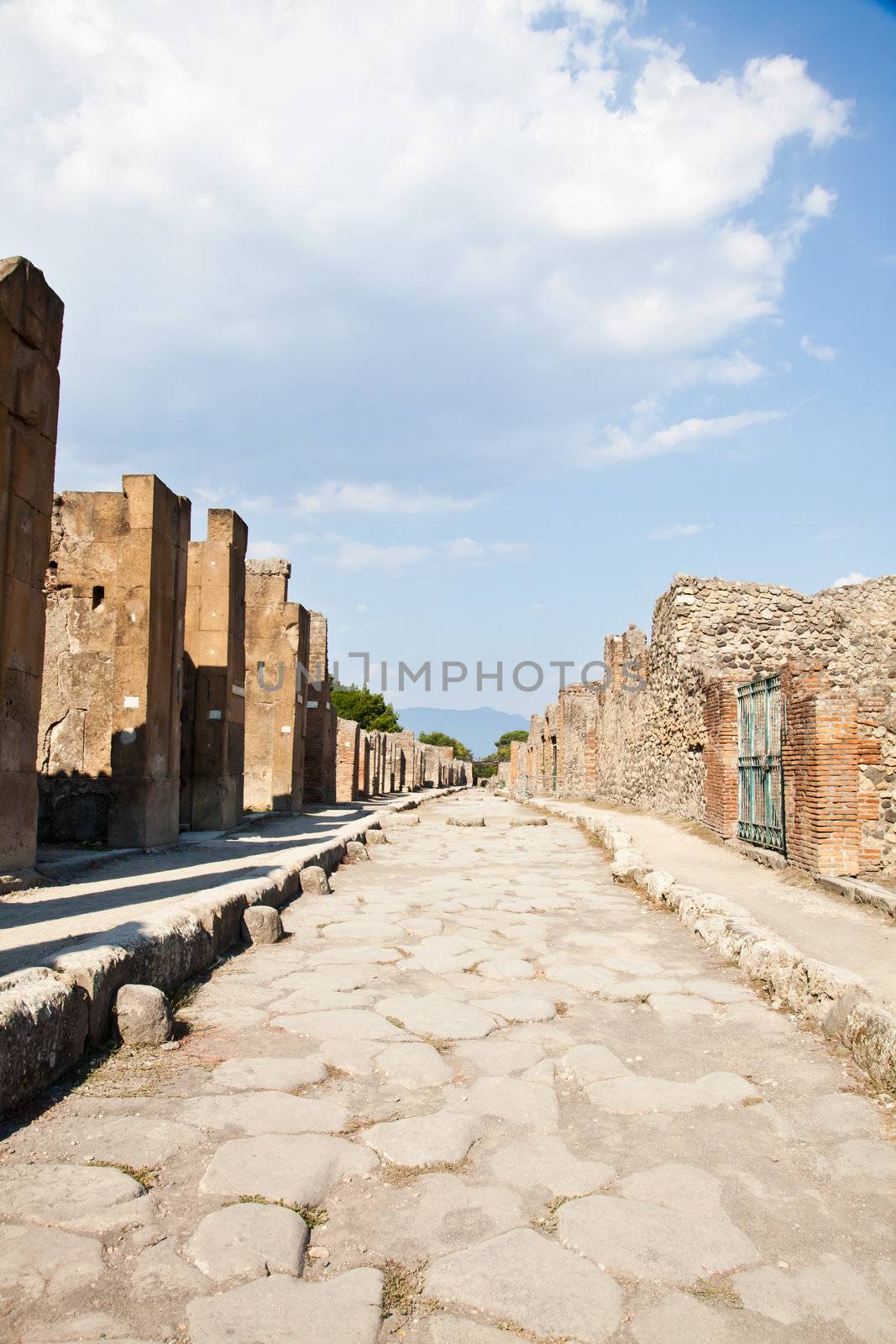Detail of Pompeii site. The city of was destroyed and completely buried during a long catastrophic eruption of the volcano Mount Vesuvius