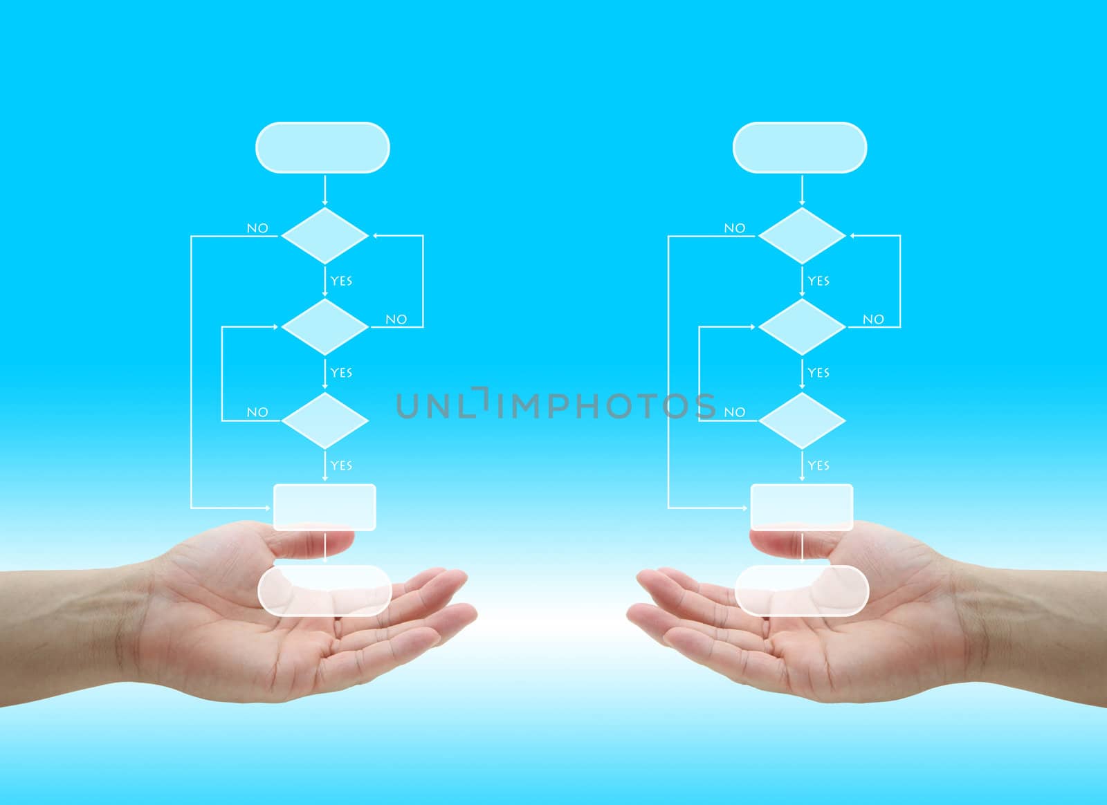 two blank decision tree diagram in hand for business analyze