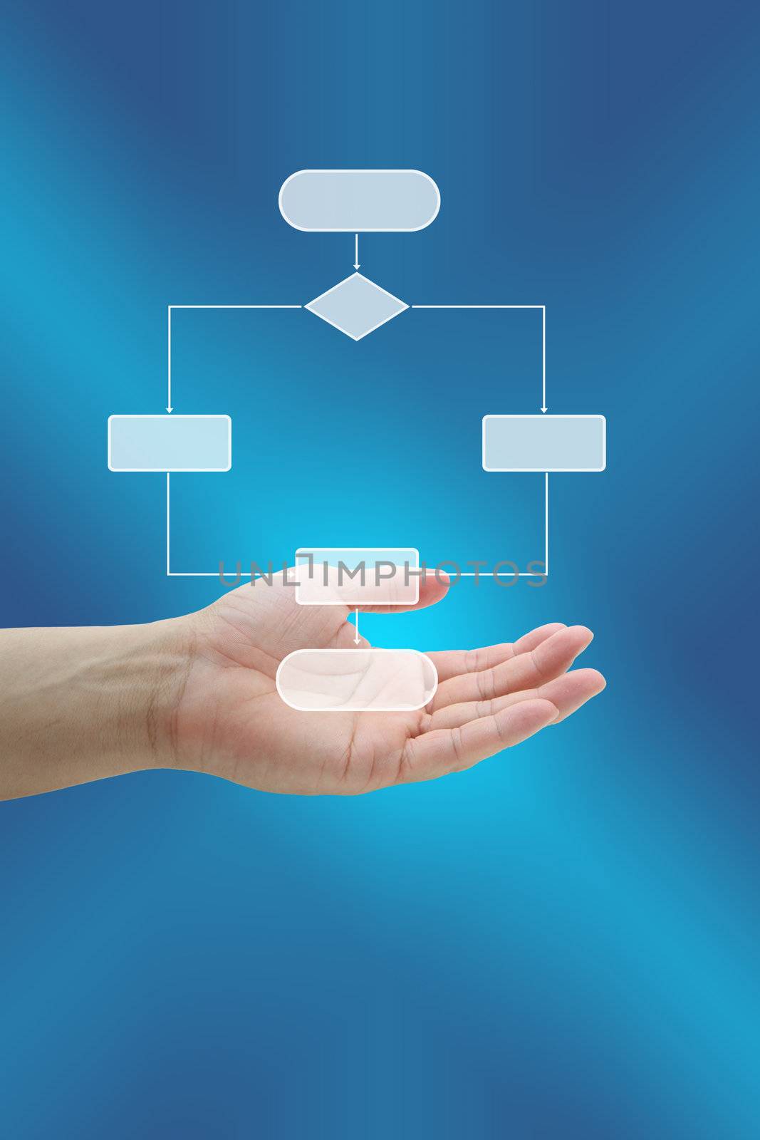 Hand Hold Decision Diagram for Business Risk Management Concept