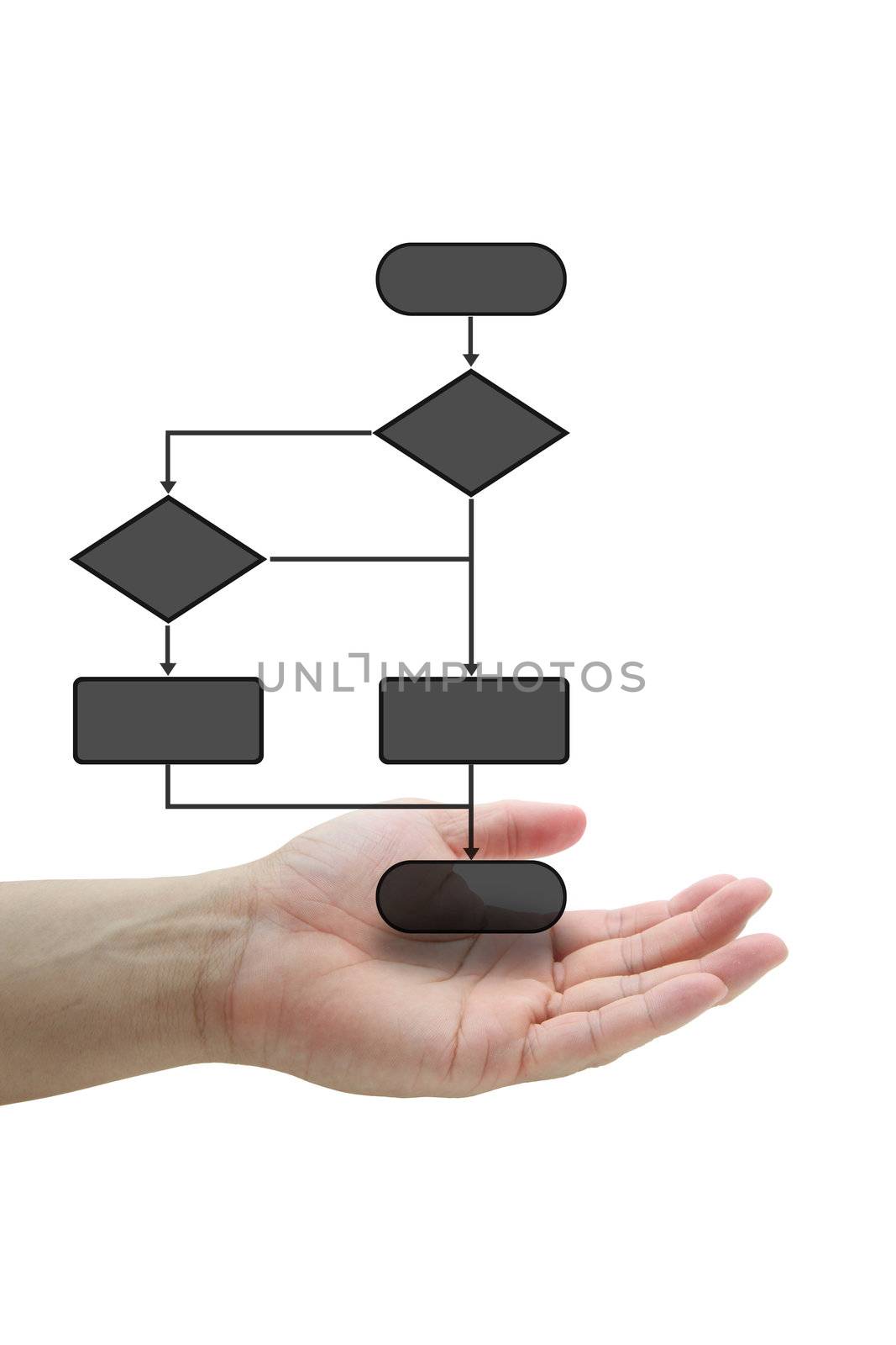 Hand Hold Decision Diagram for Business Risk Management Concept isolated on white background