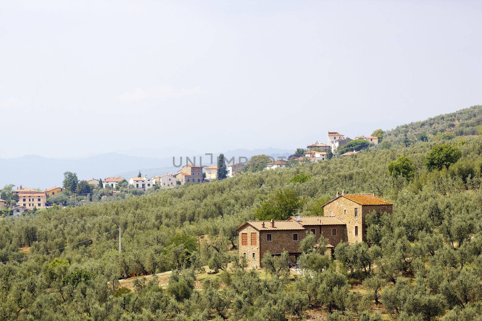 typical tuscan house