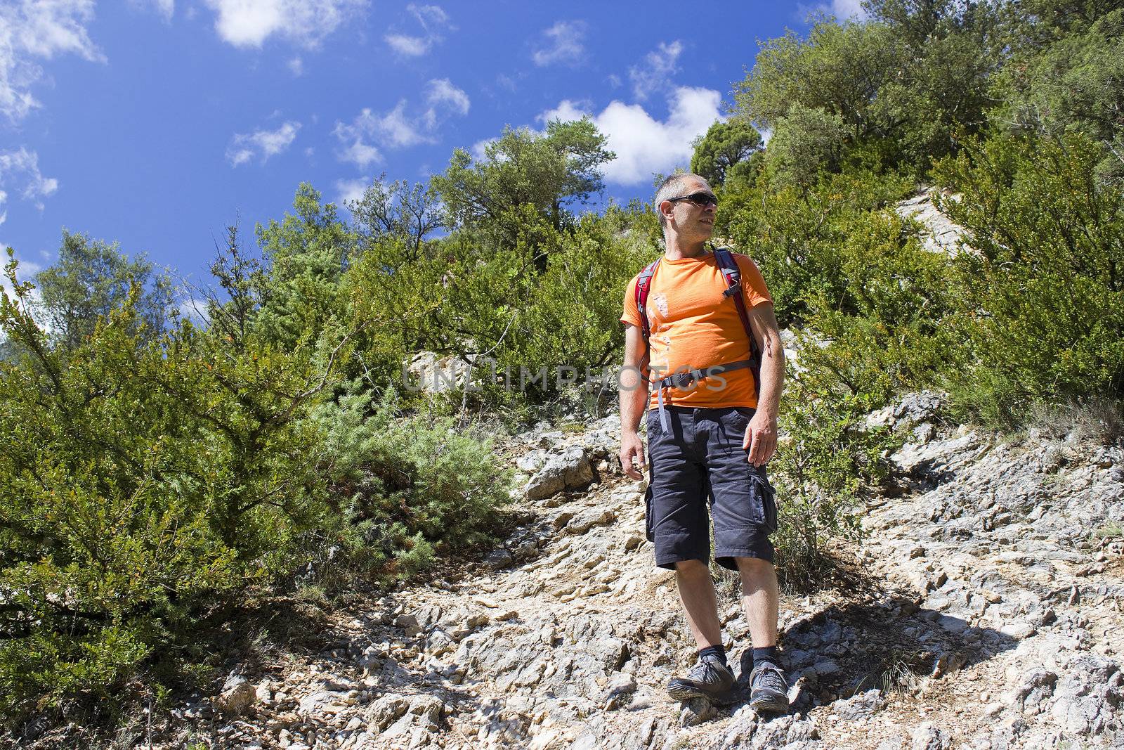 a man on the mountain trek 