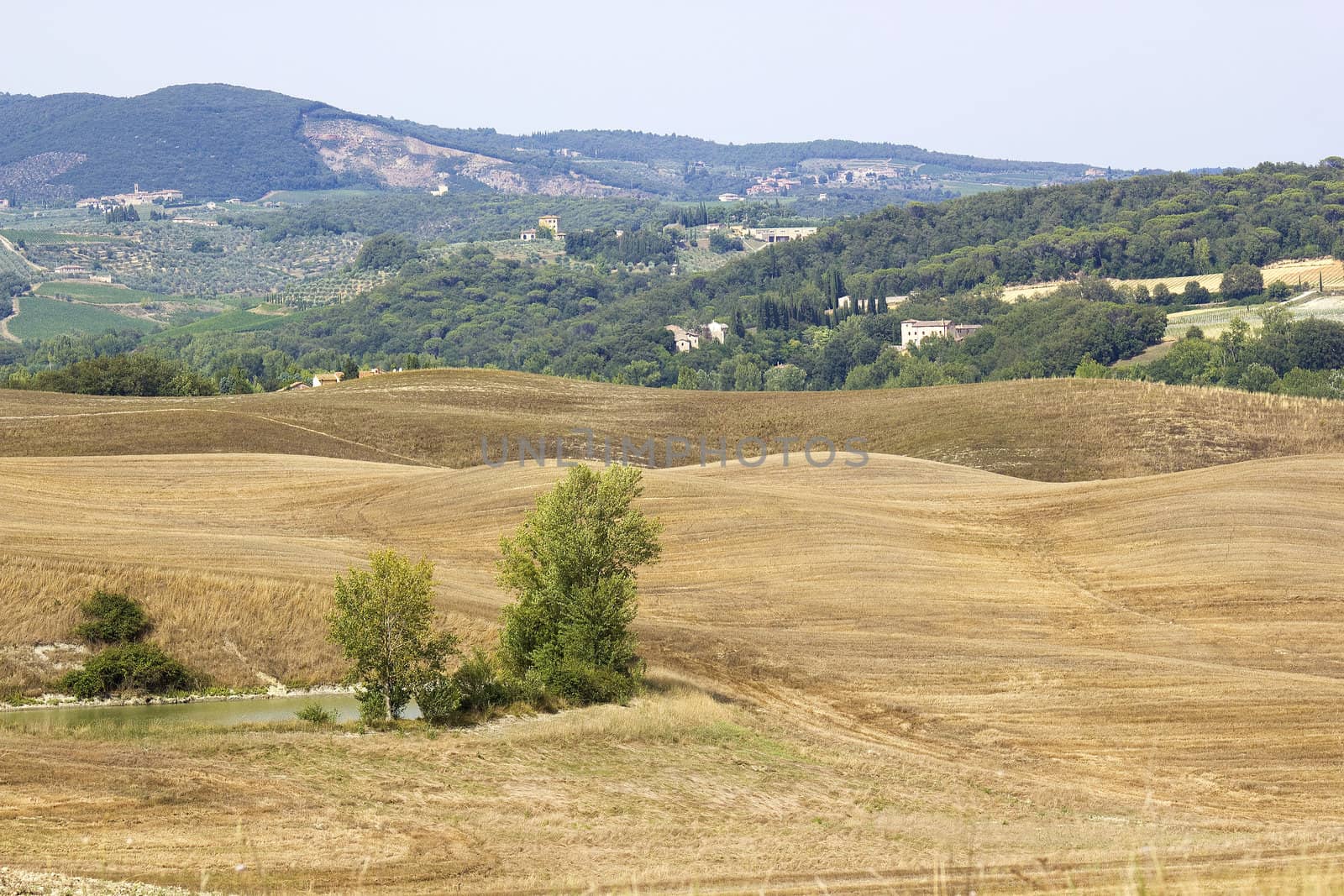 typical tuscan landscape