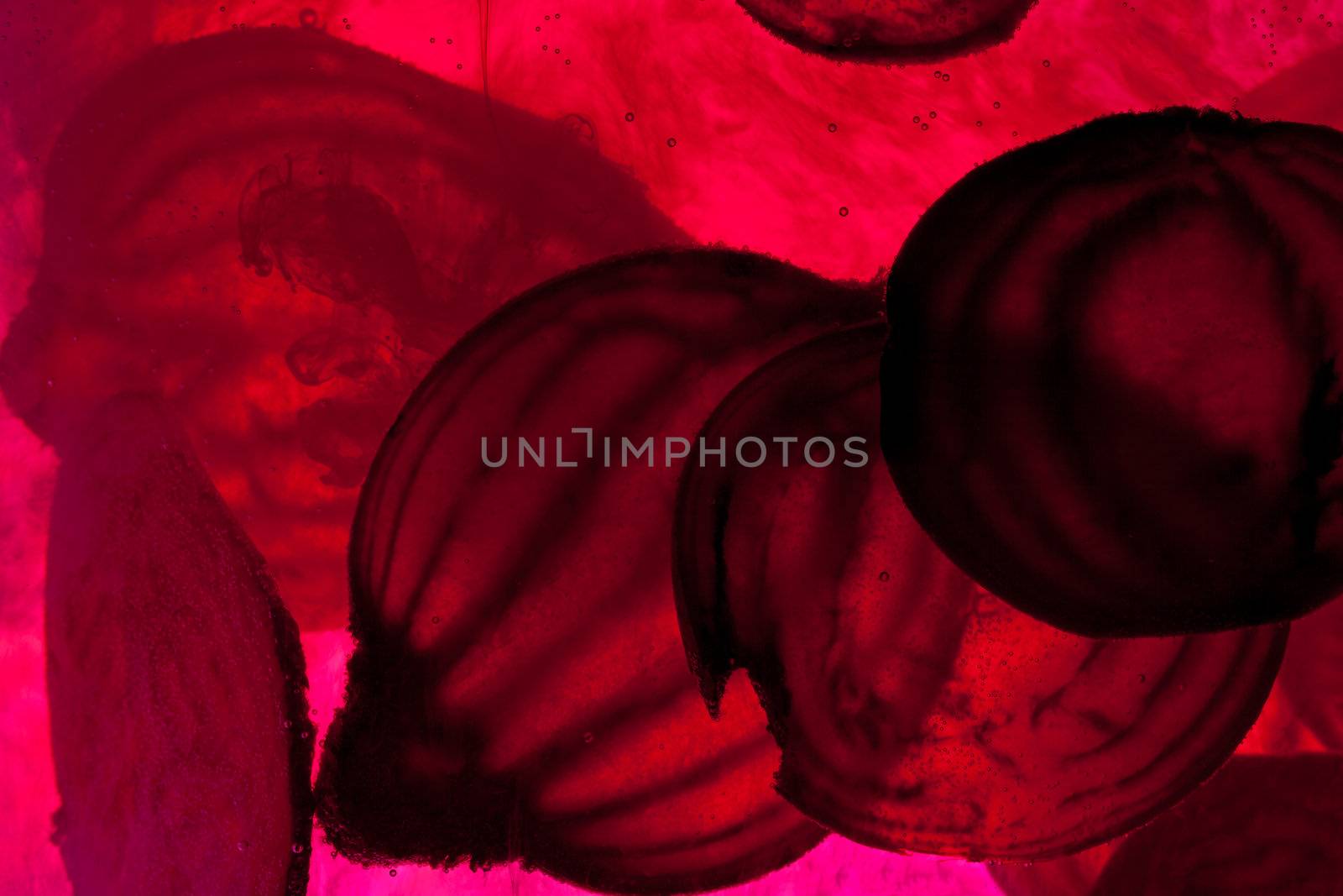 sliced raw beet