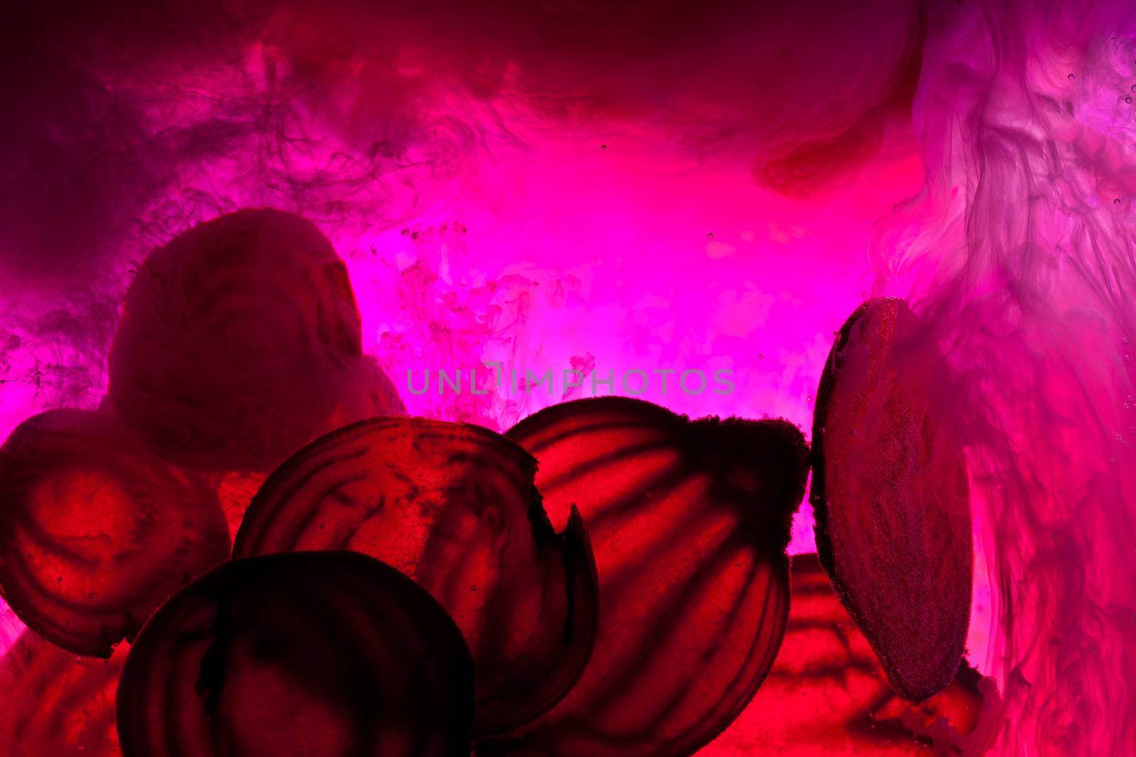 sliced raw beet