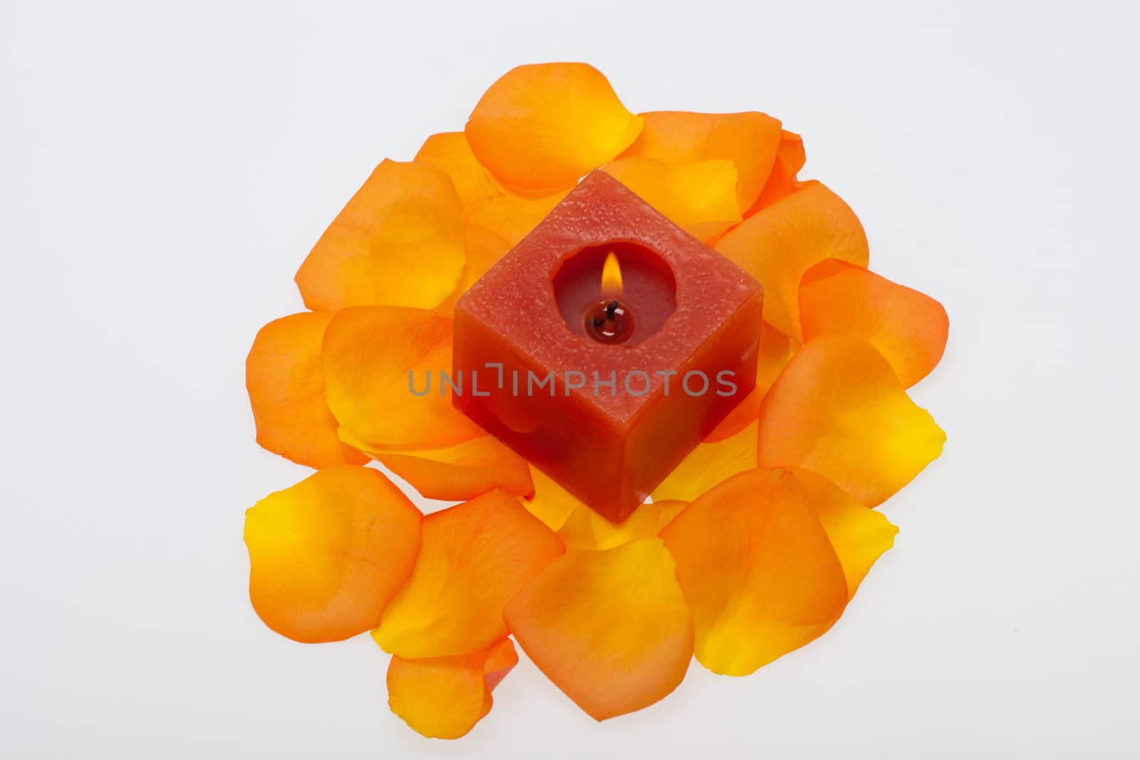 Spilt petals of the orange-rose around the aromatic candle