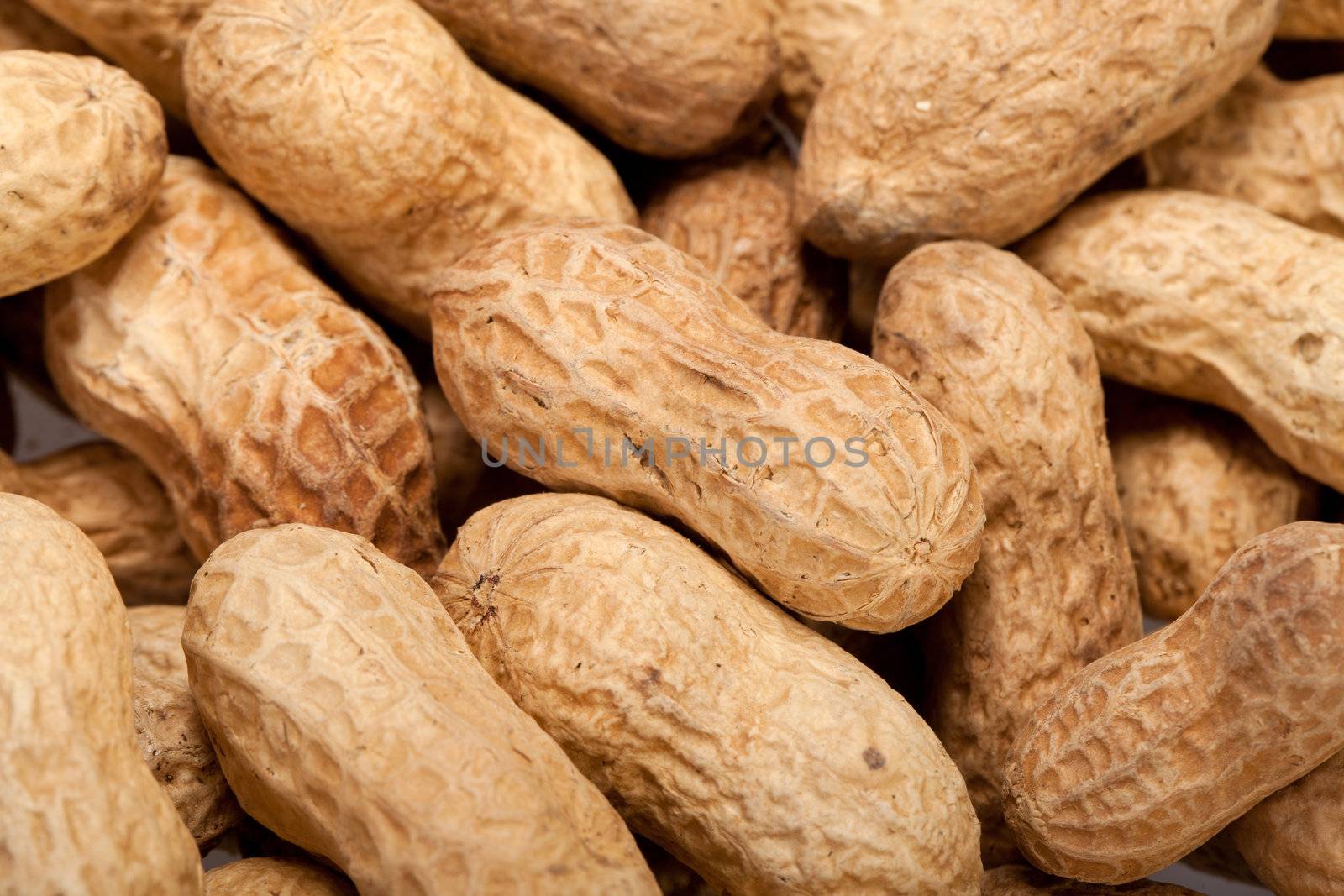 
Dried peanuts in closeup on the white background